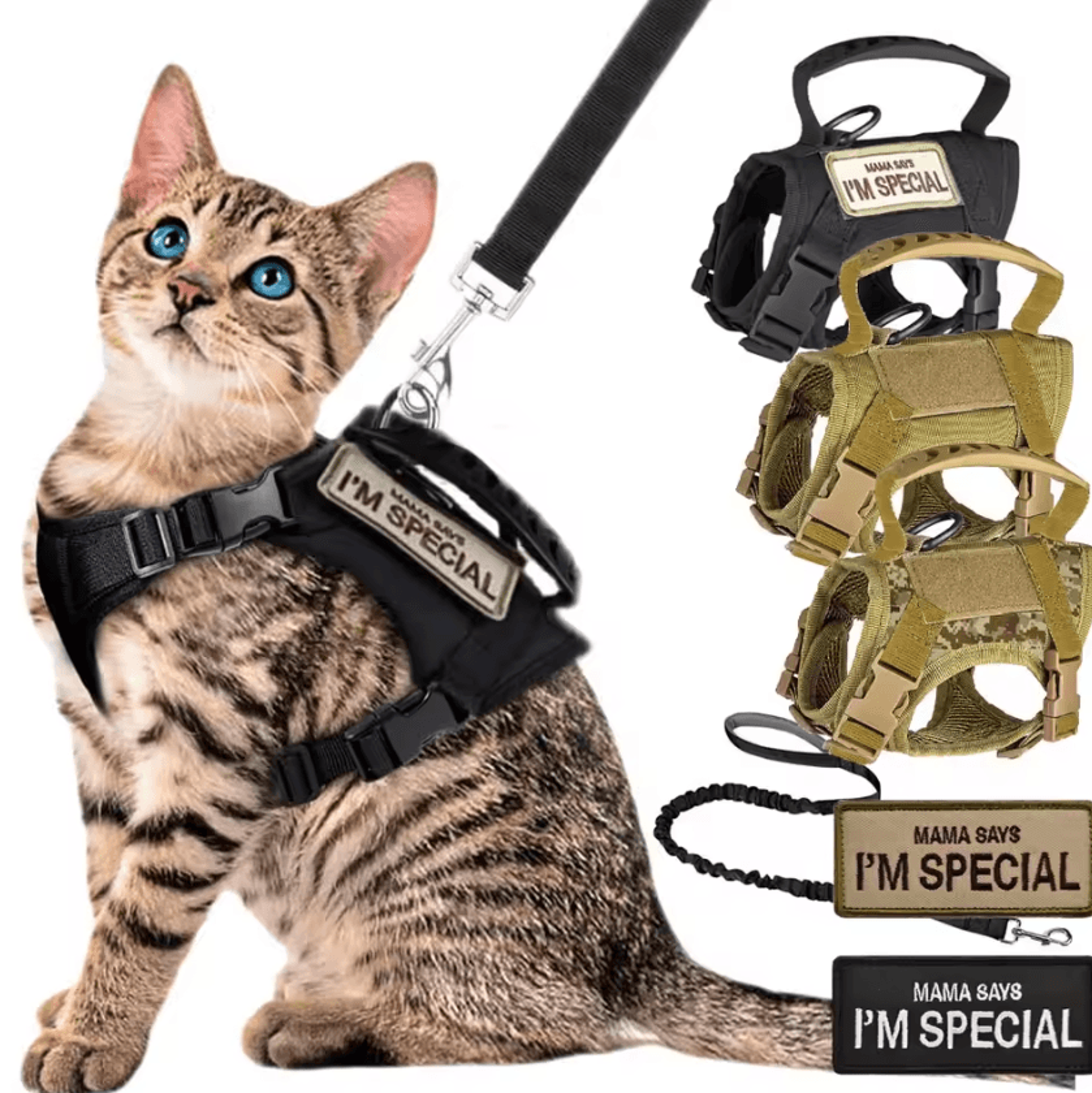 trailguard tactical pet harness & leash set
