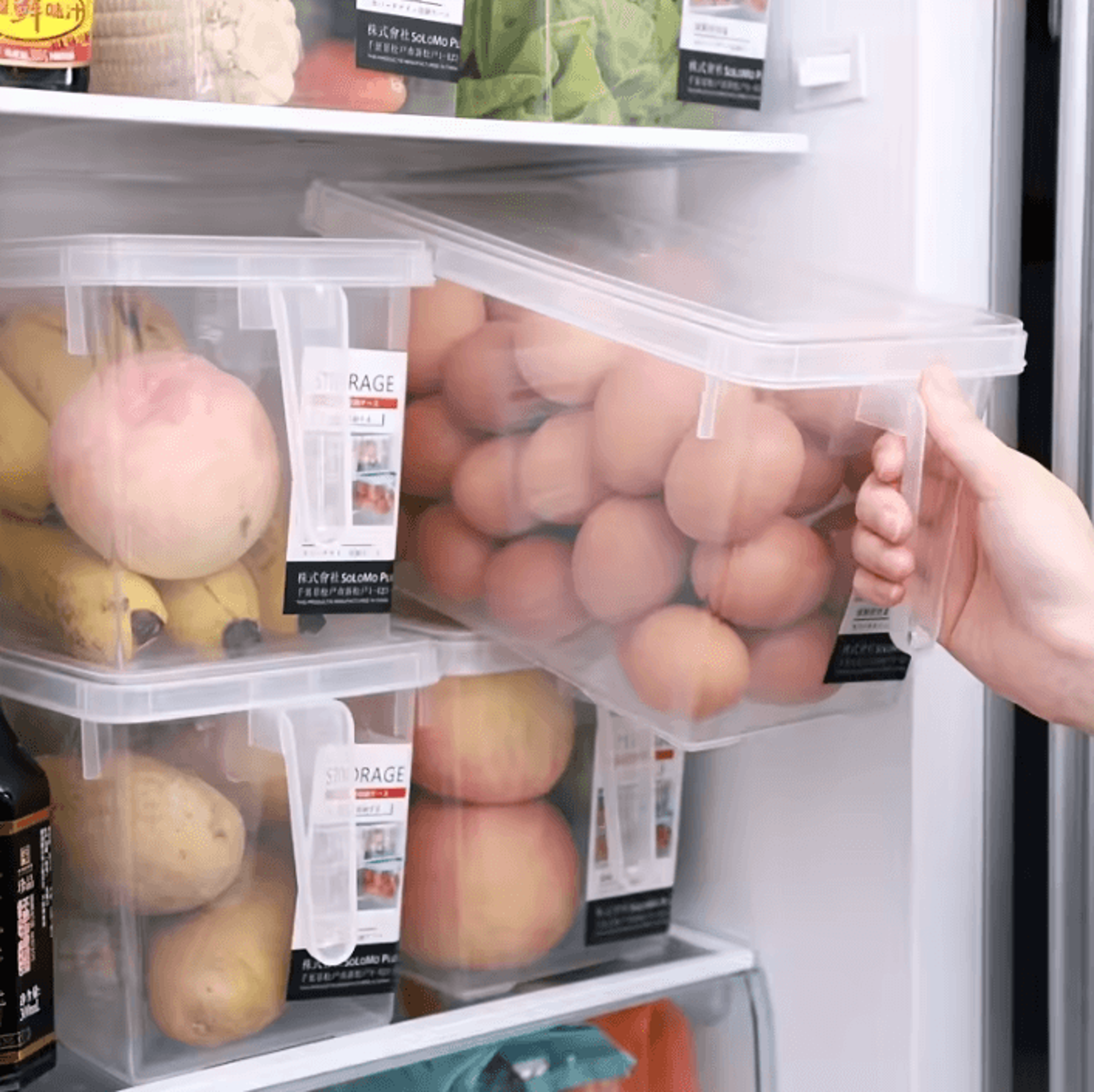 freshseal fridge organizer bins with airtight lids & easy-grip handles