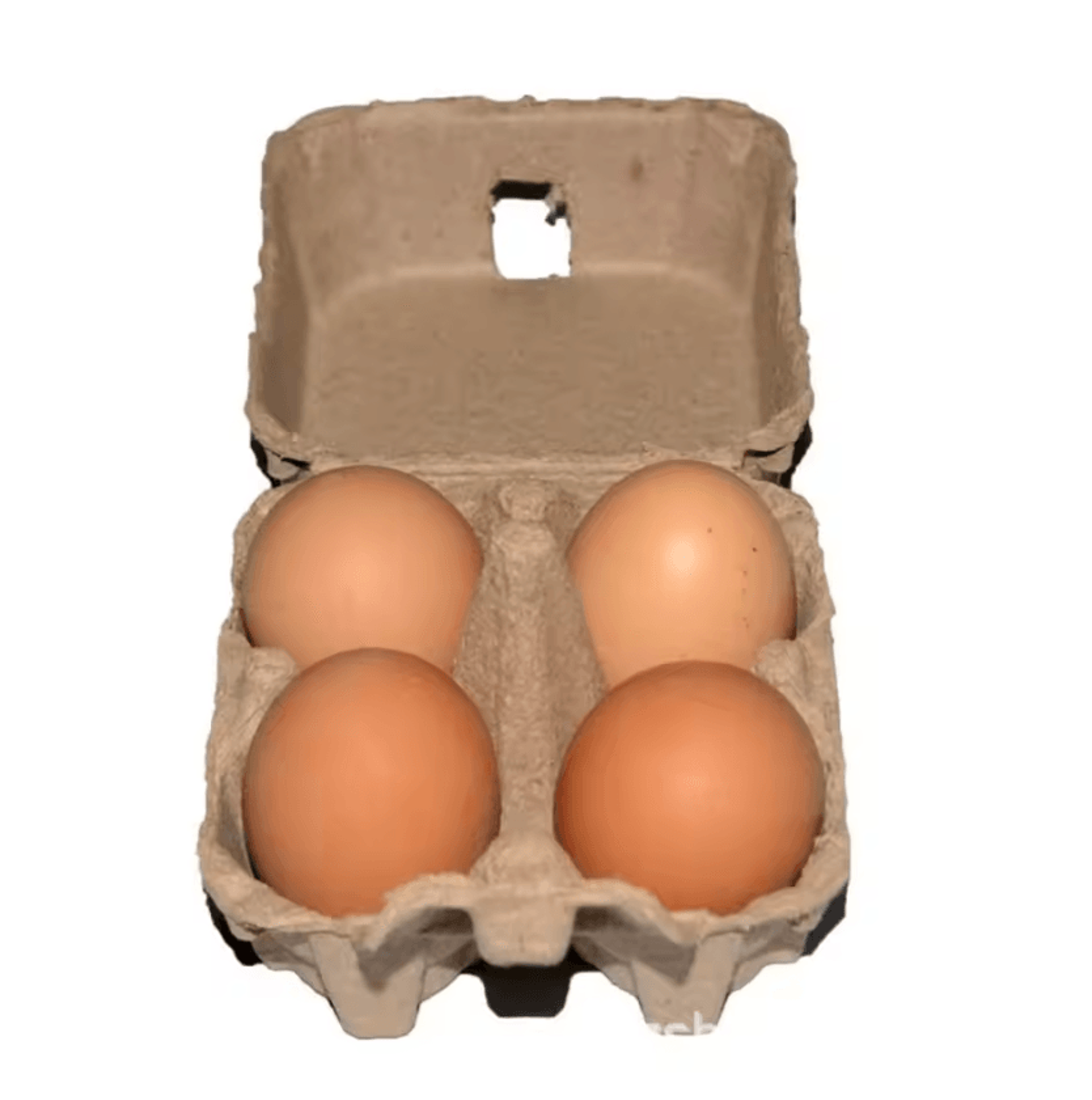 eco-friendly kraft pulp egg storage cartons for safe egg organization