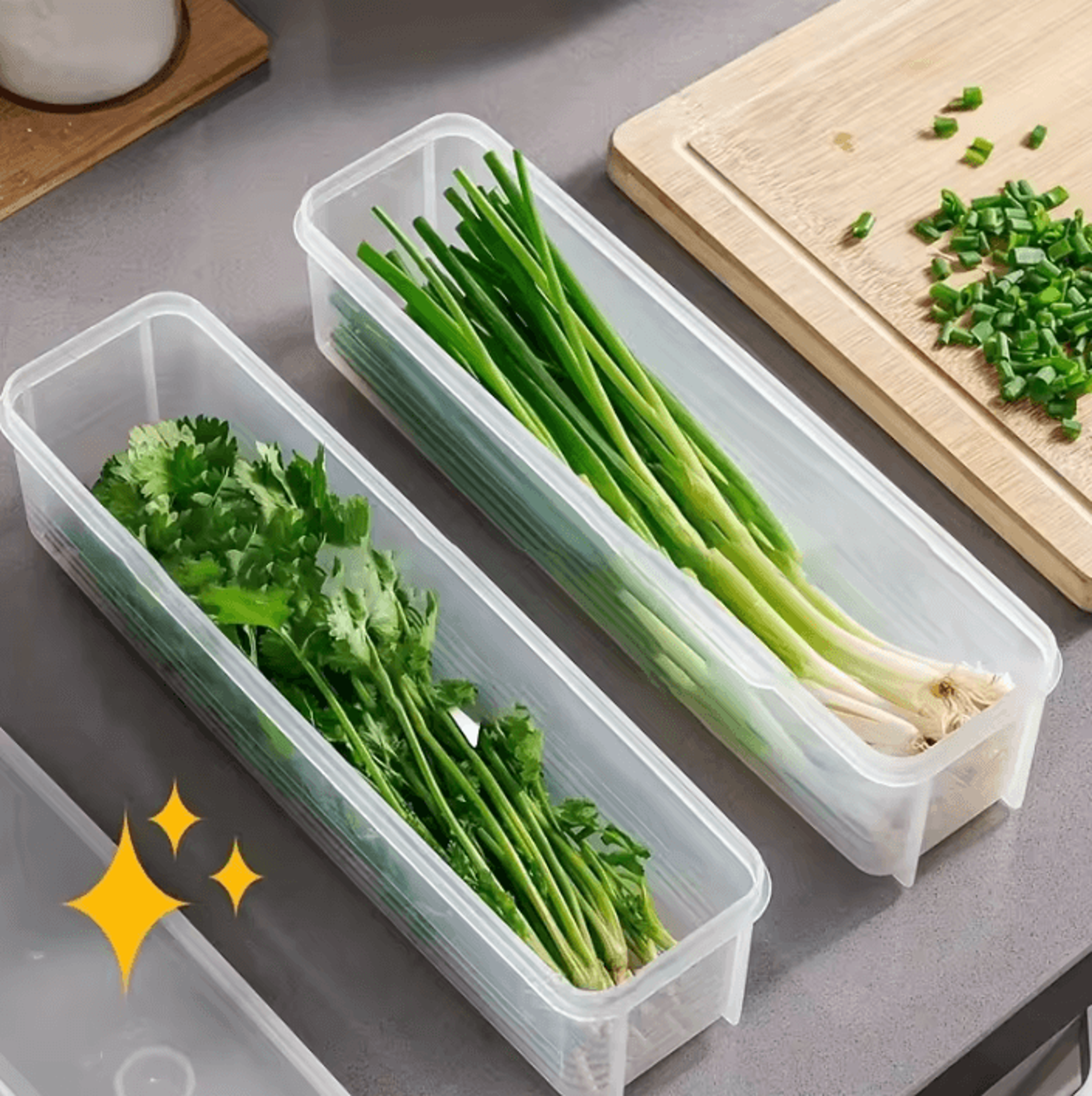freshguard herb & vegetable storage container