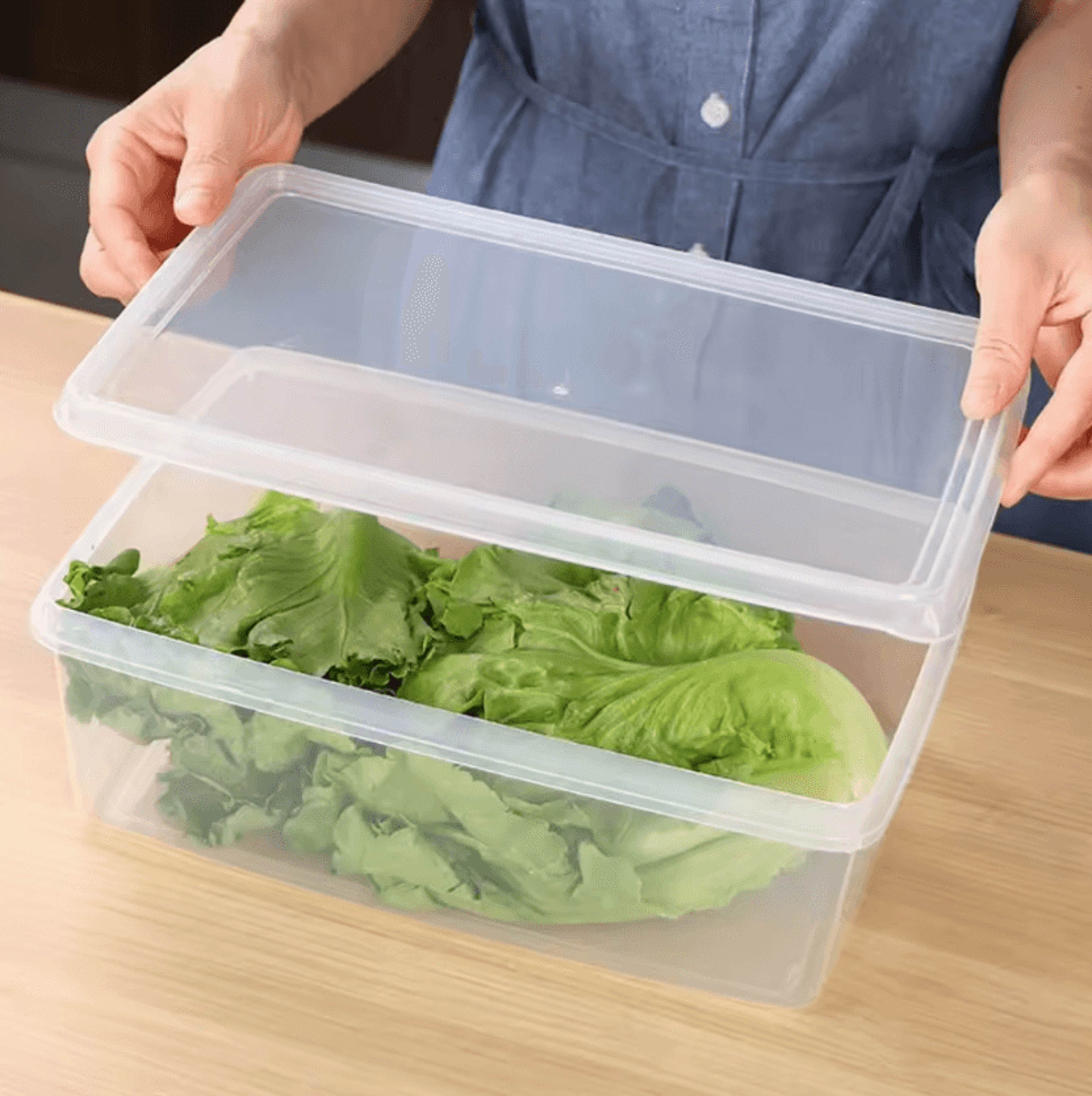 freshlock transparent food storage container