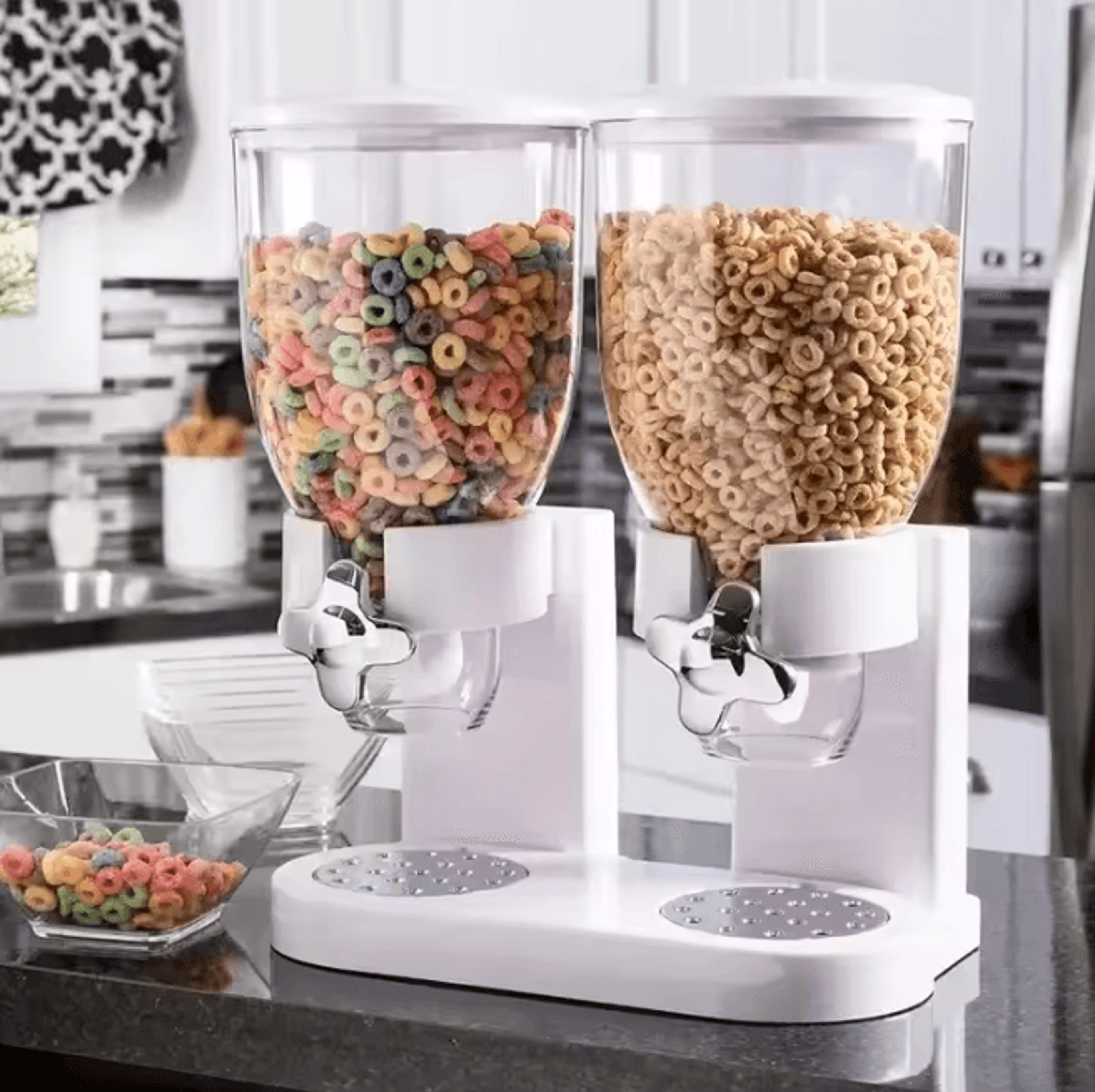 dual-control dry food dispenser storage container