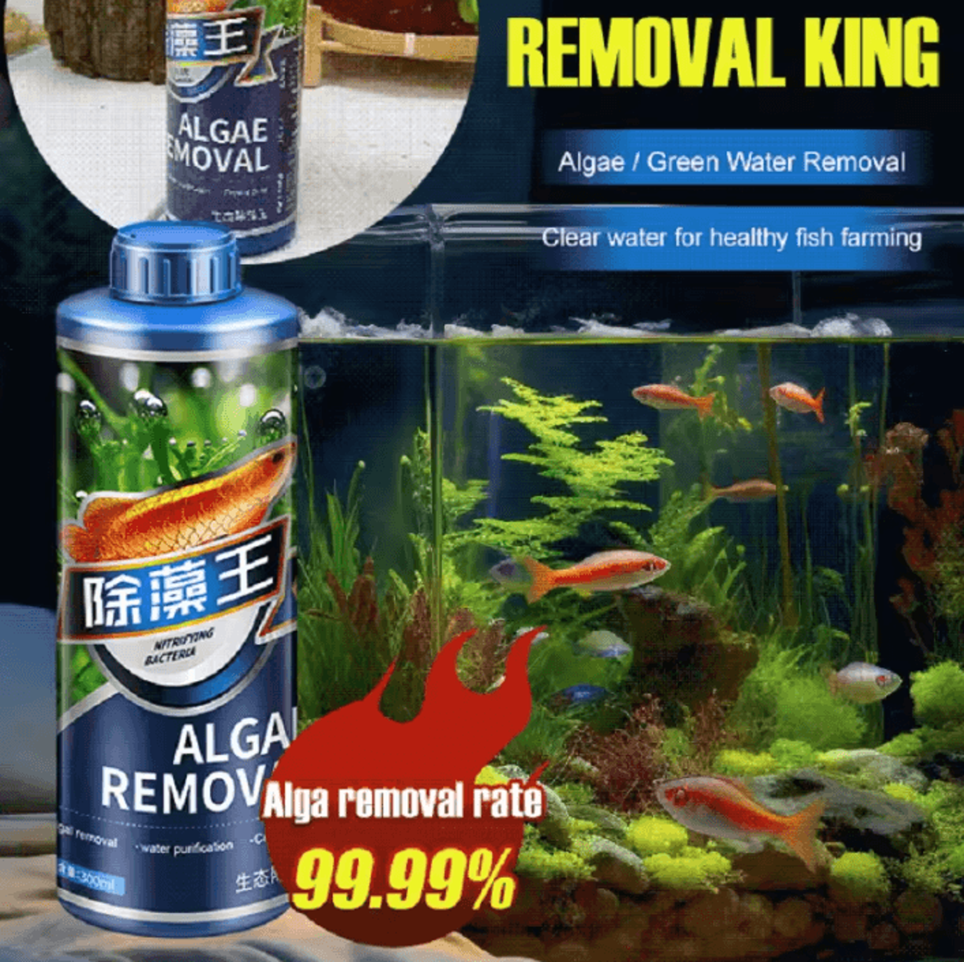 aquarium algae control solution for clearer fish tank water