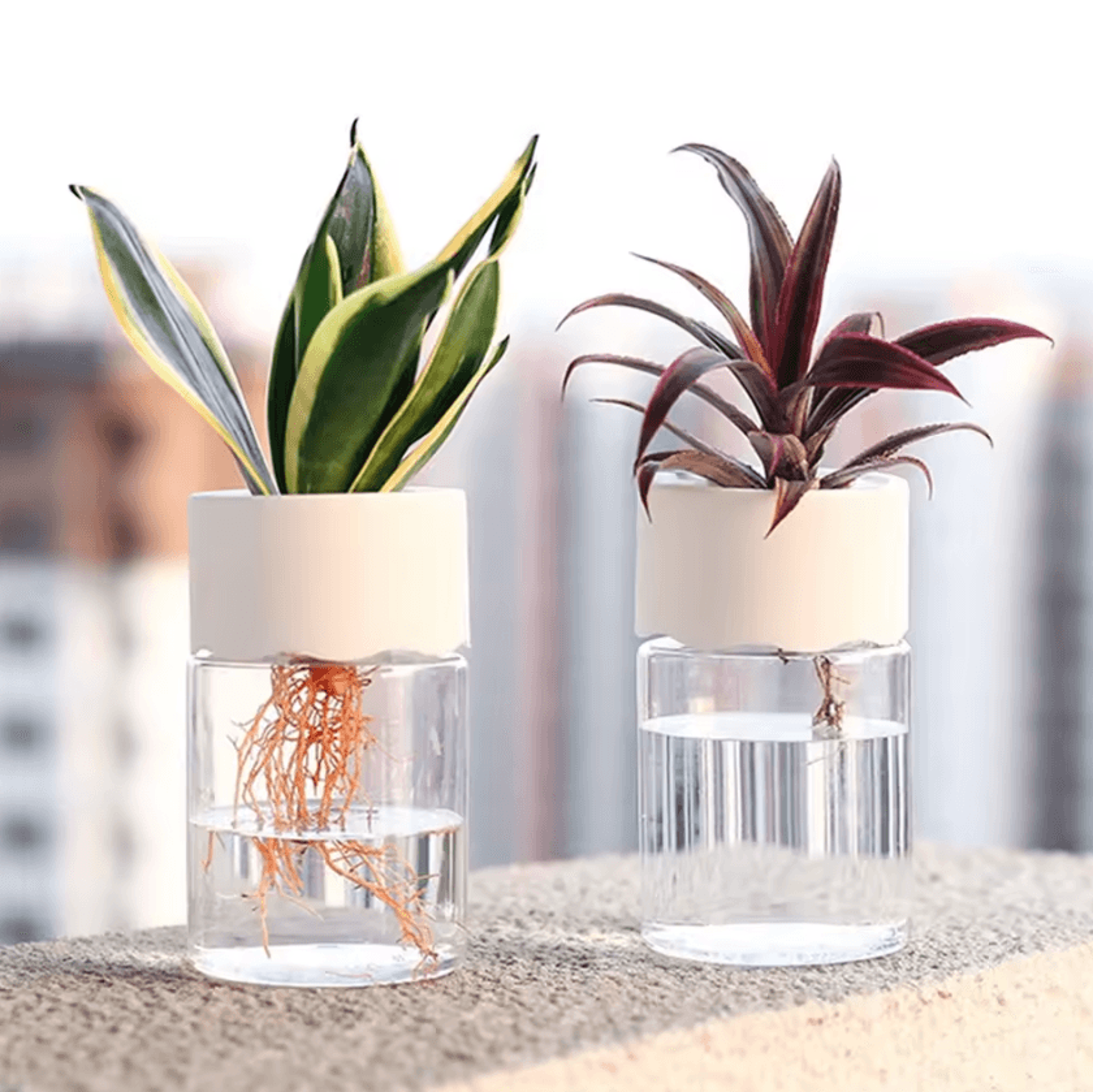 mini hydroponic glass-style vase – hydroponic plant vase for soilless plants, cuttings & home desk decor