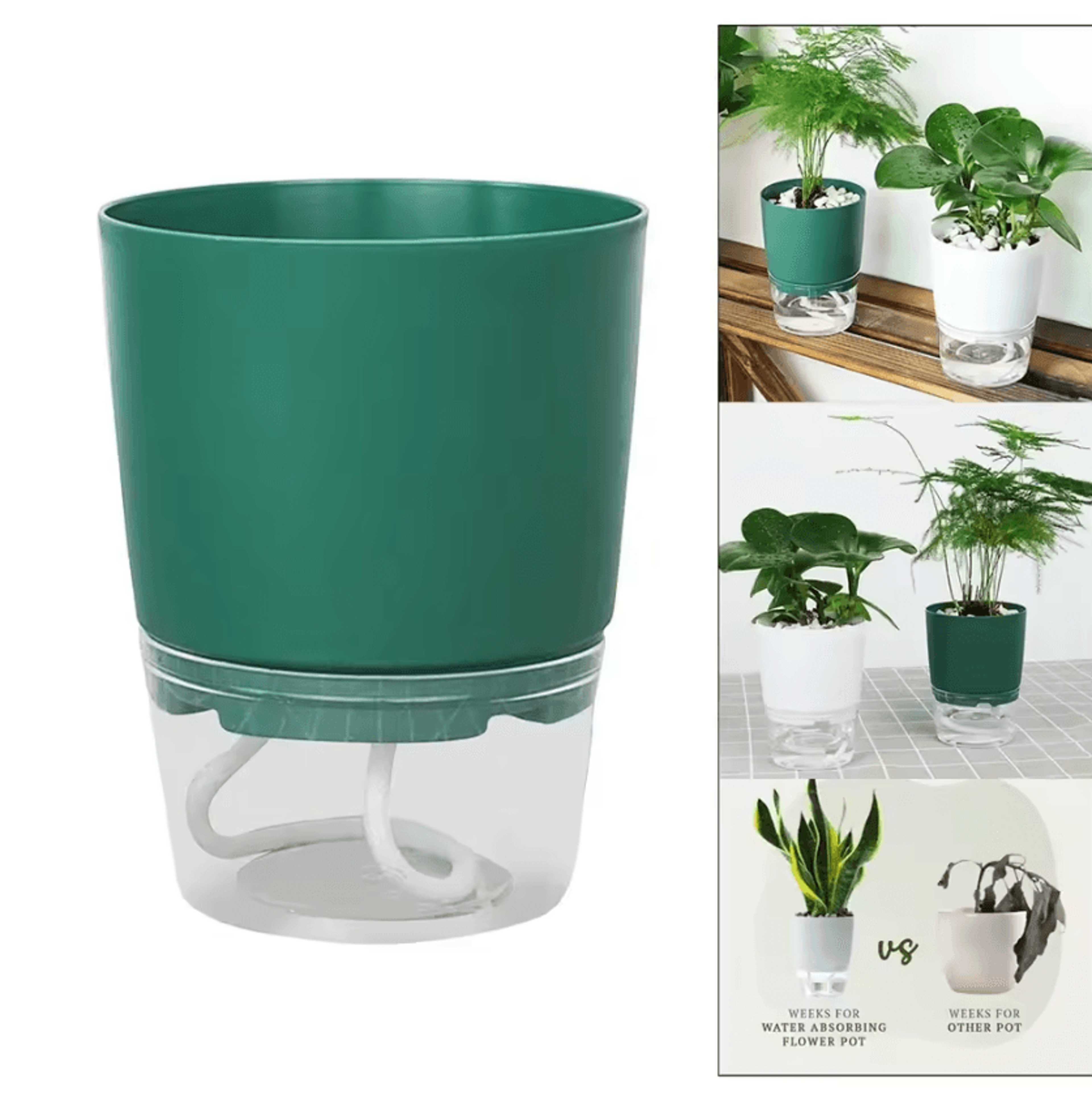 self watering plant pot with hydroponic water reservoir for indoor plants