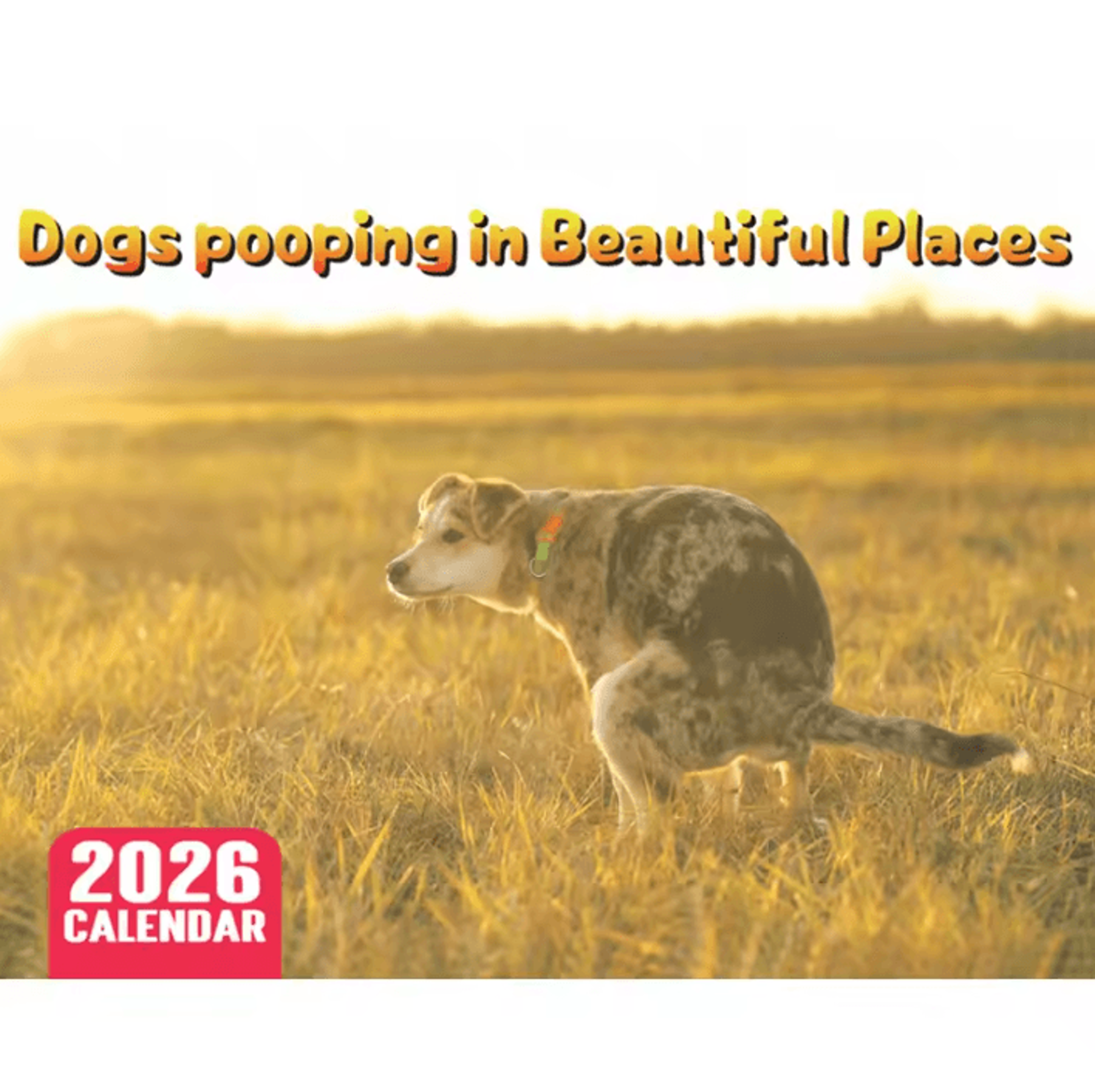 2026 funny pooping dog wall calendar monthly planner & organizer