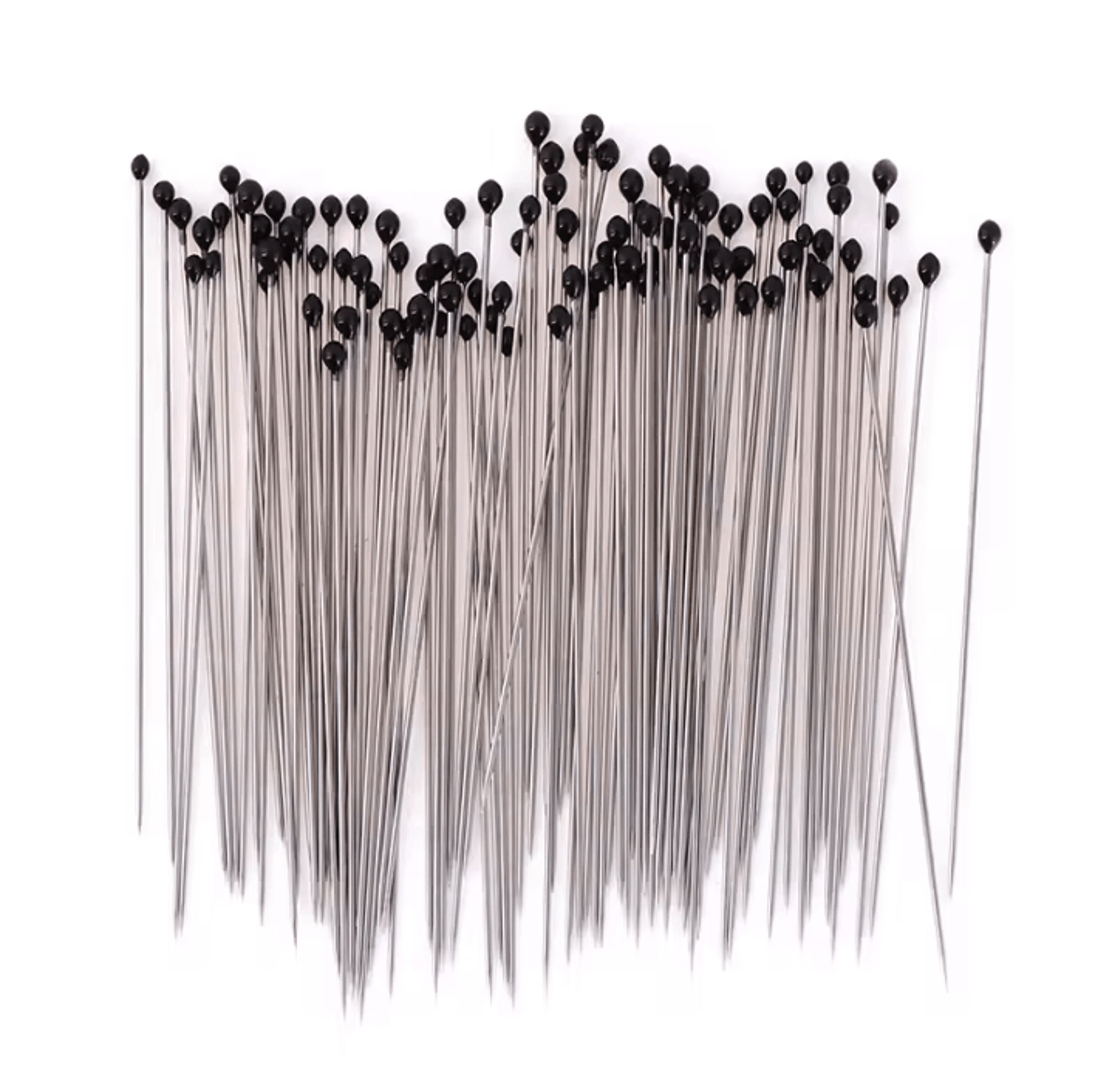 100-piece stainless steel insect specimen pins with storage box