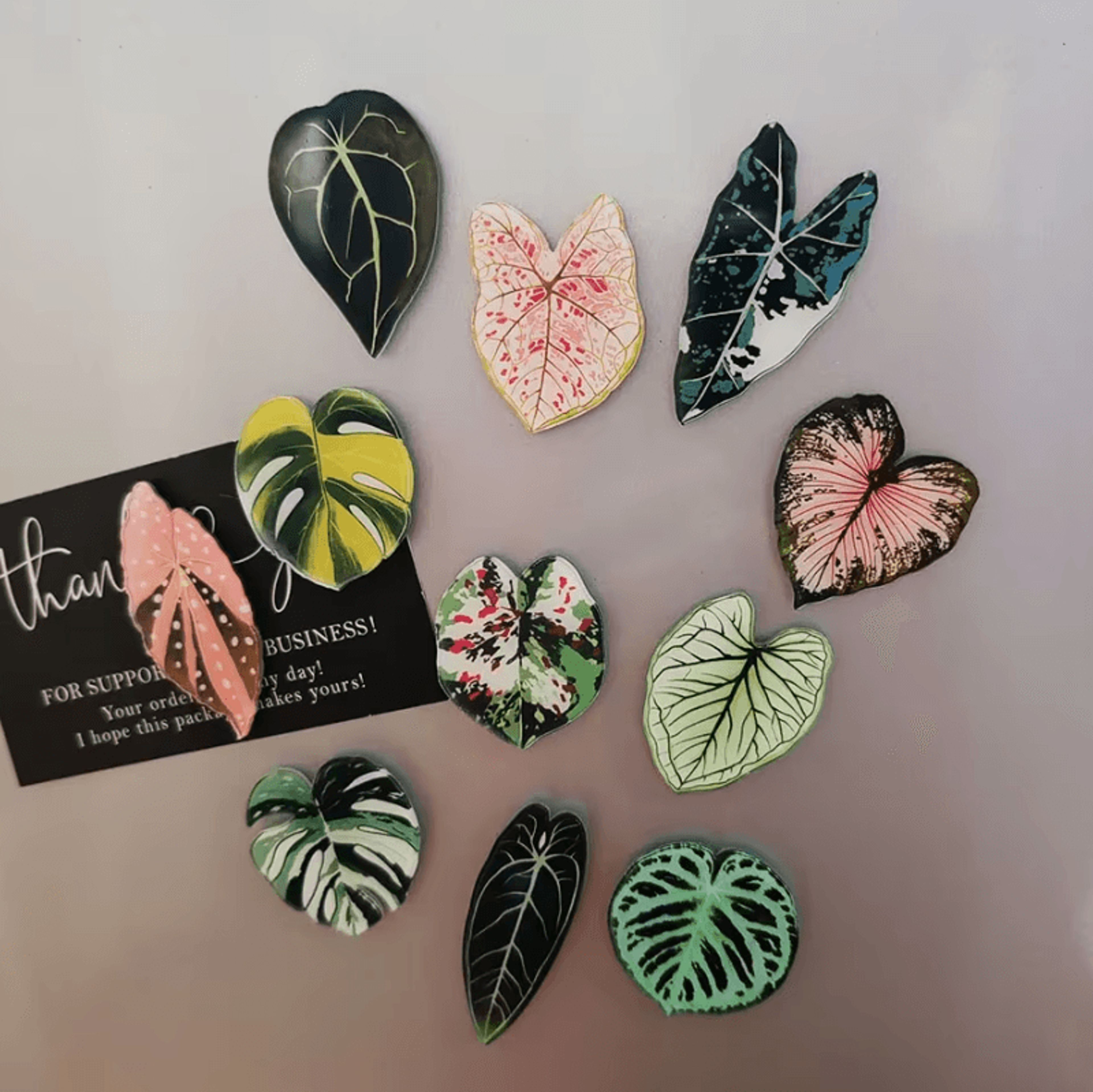 6-piece kawaii tropical plant refrigerator magnets