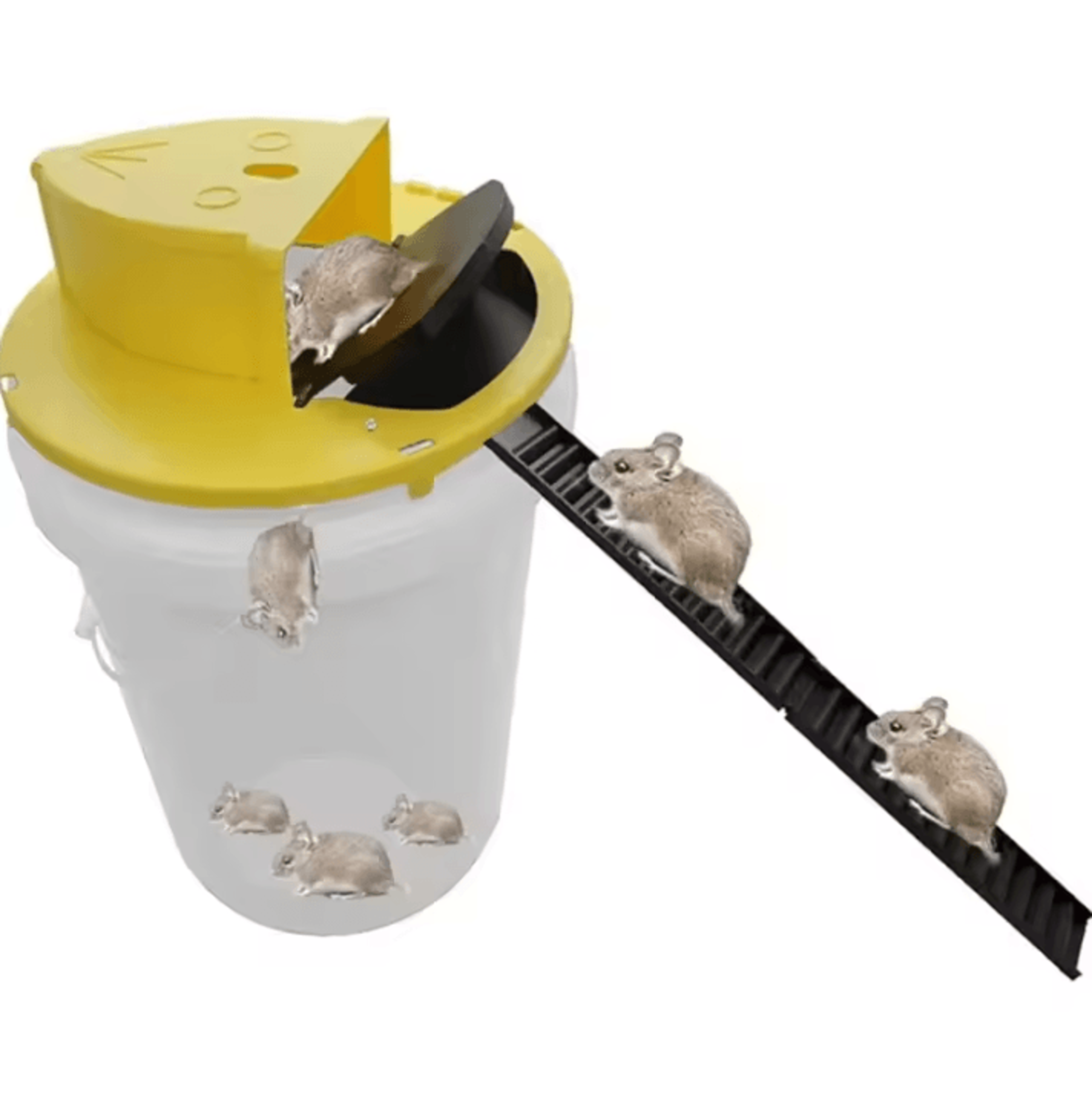 intelligent auto-reset bucket mouse trap lid