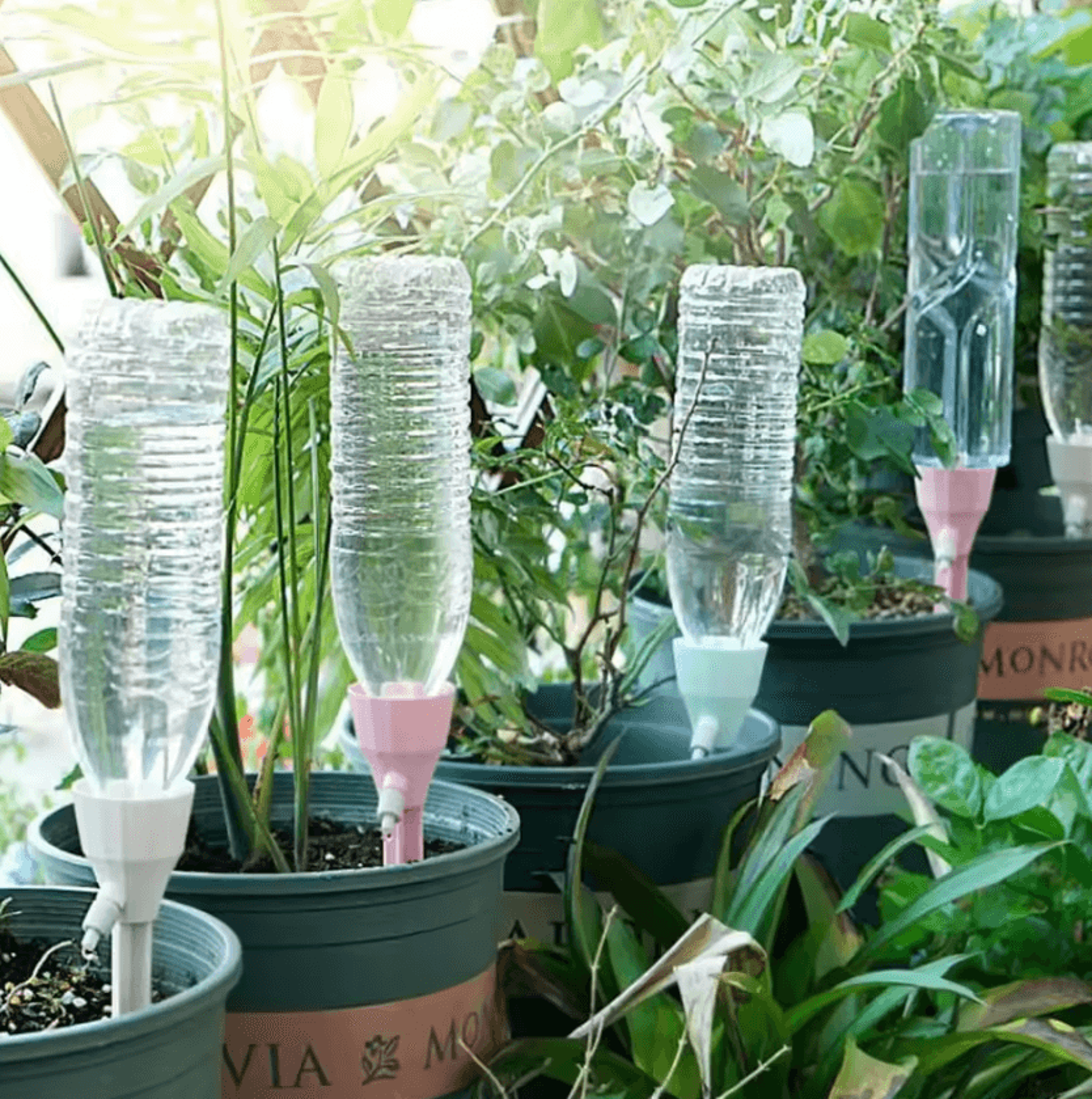 adjustable self watering plant spikes drip irrigation system 3-pack