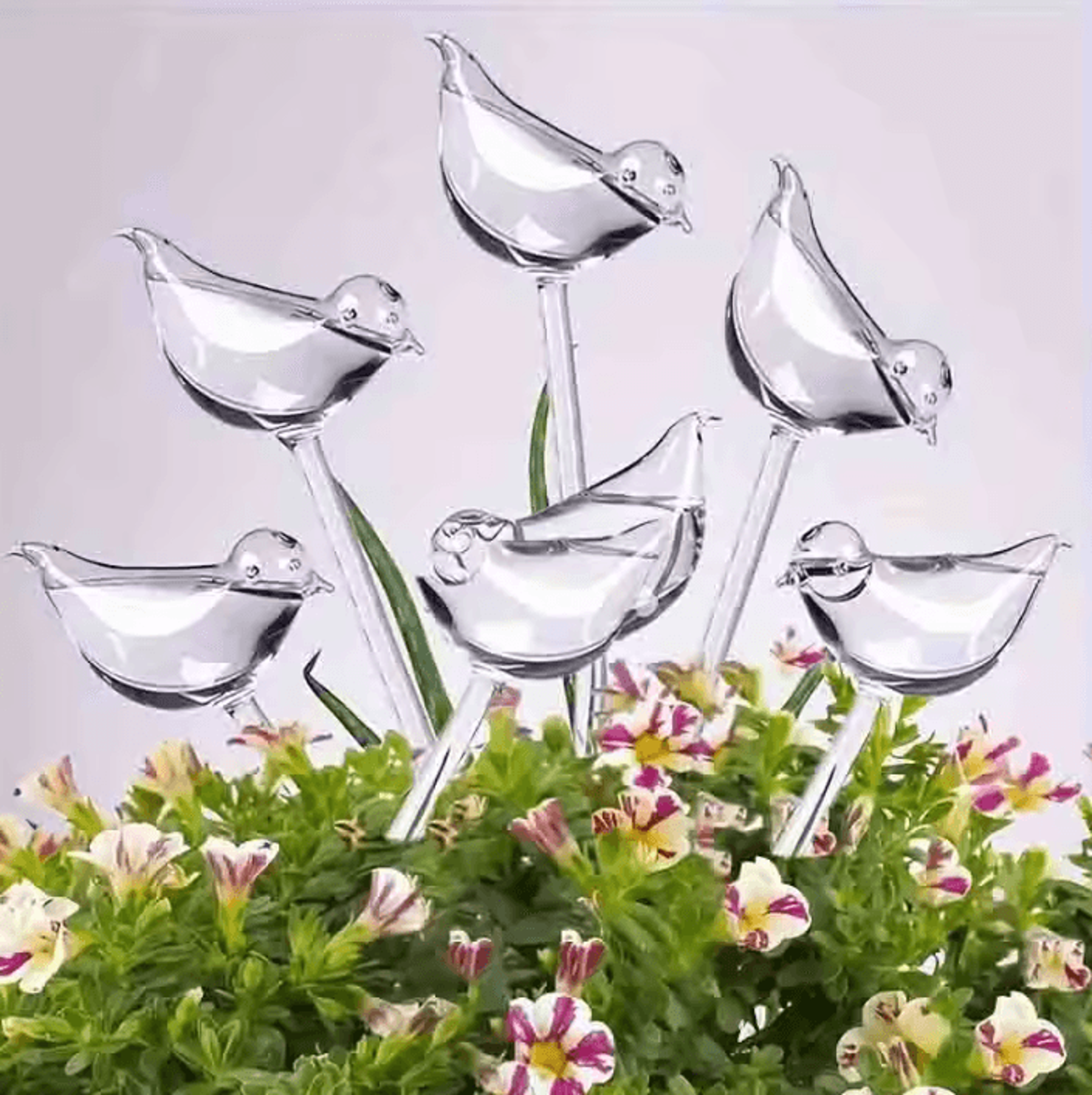 cute self watering plant globes bird-shaped automatic watering devices