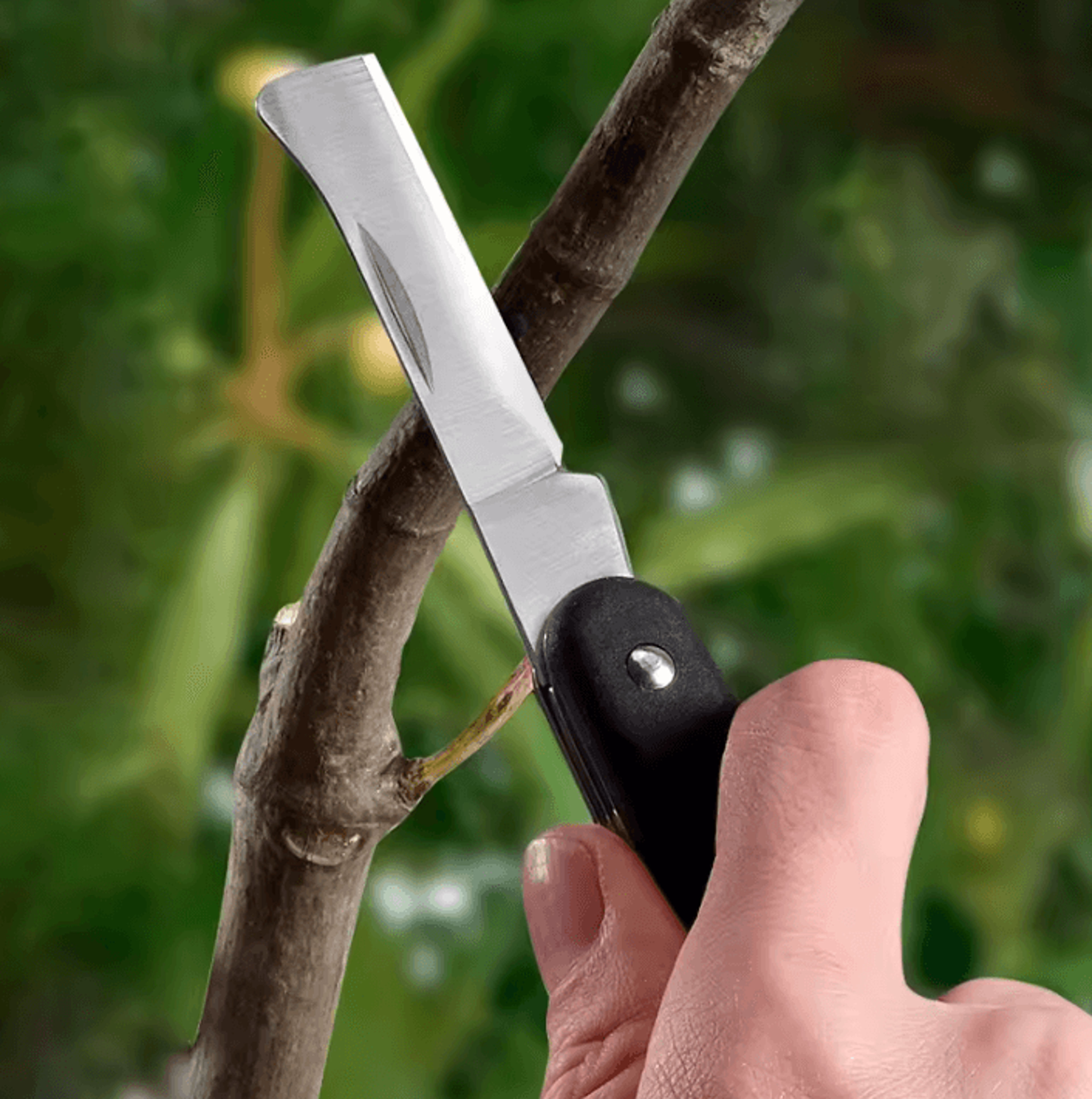 professional stainless steel grafting knife precision budding tool for fruit trees & bonsai