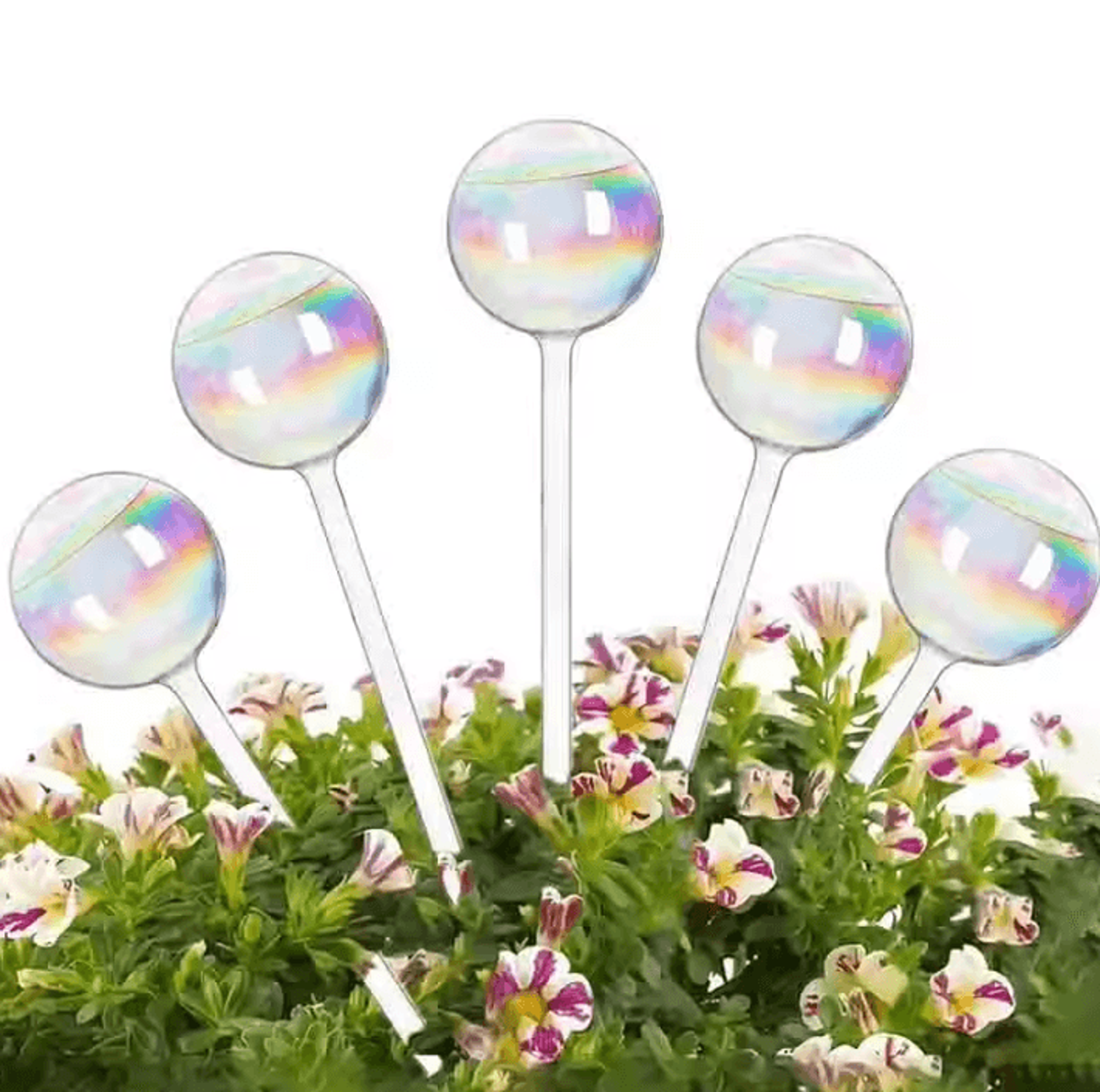 glass plant watering bulbs self watering device for indoor & outdoor plants