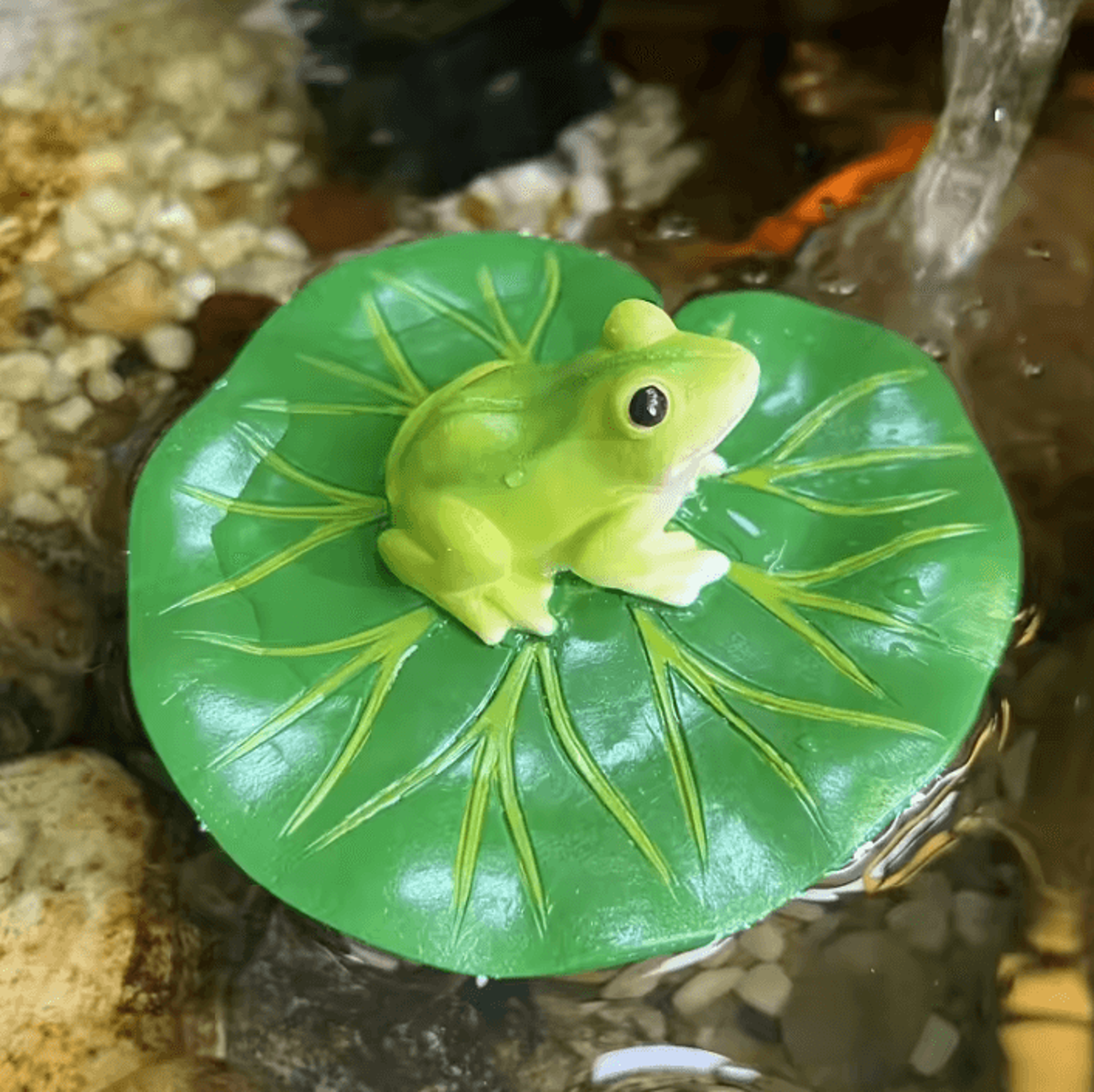 floating frog garden pond decoration for pool and yard