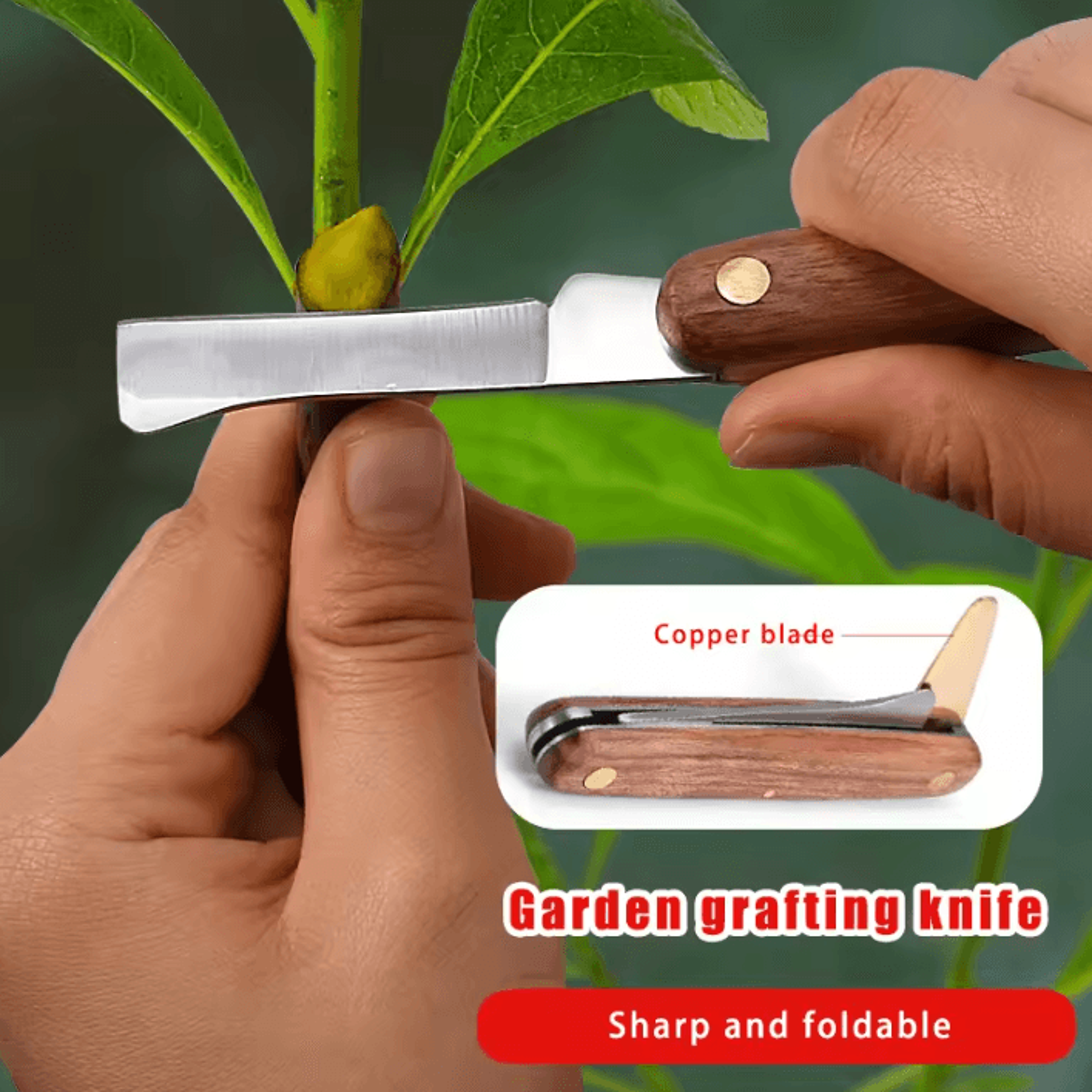 double-edged grafting knife with rosewood handle for plant propagation