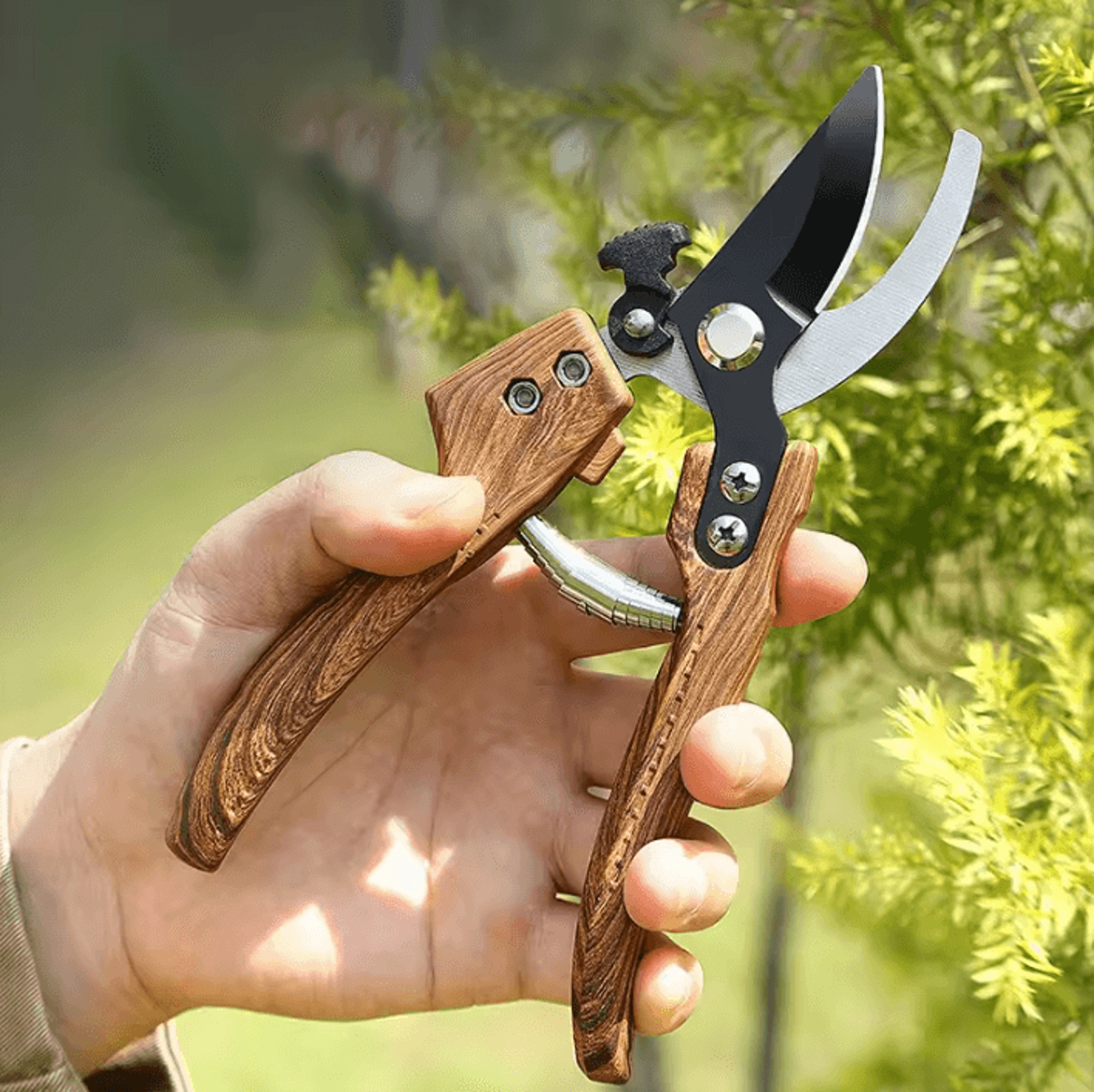 professional garden pruning shears for fruit trees, bonsai & branch trimming
