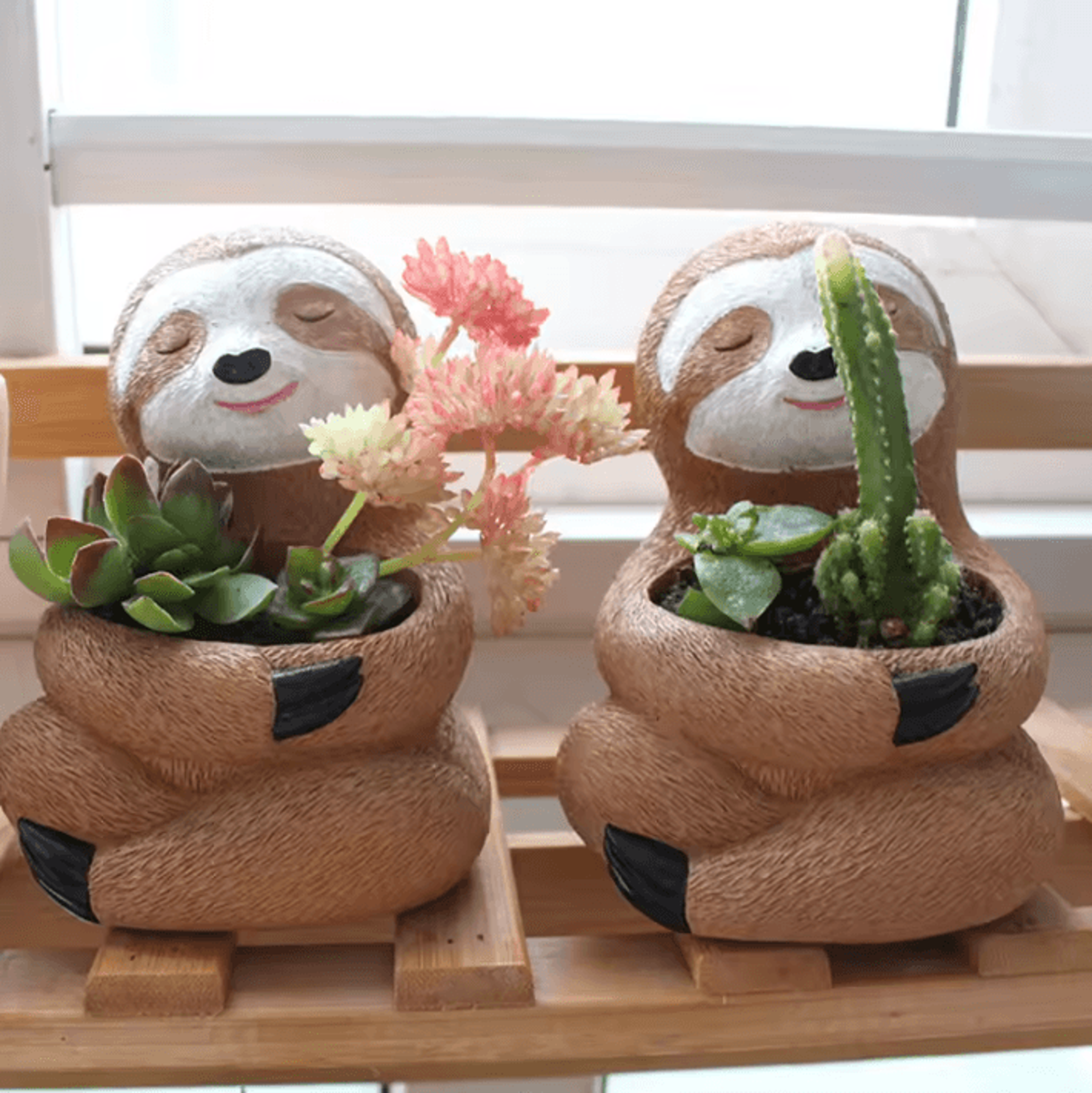 cute sloth succulent planter pot for indoor plants & home decor