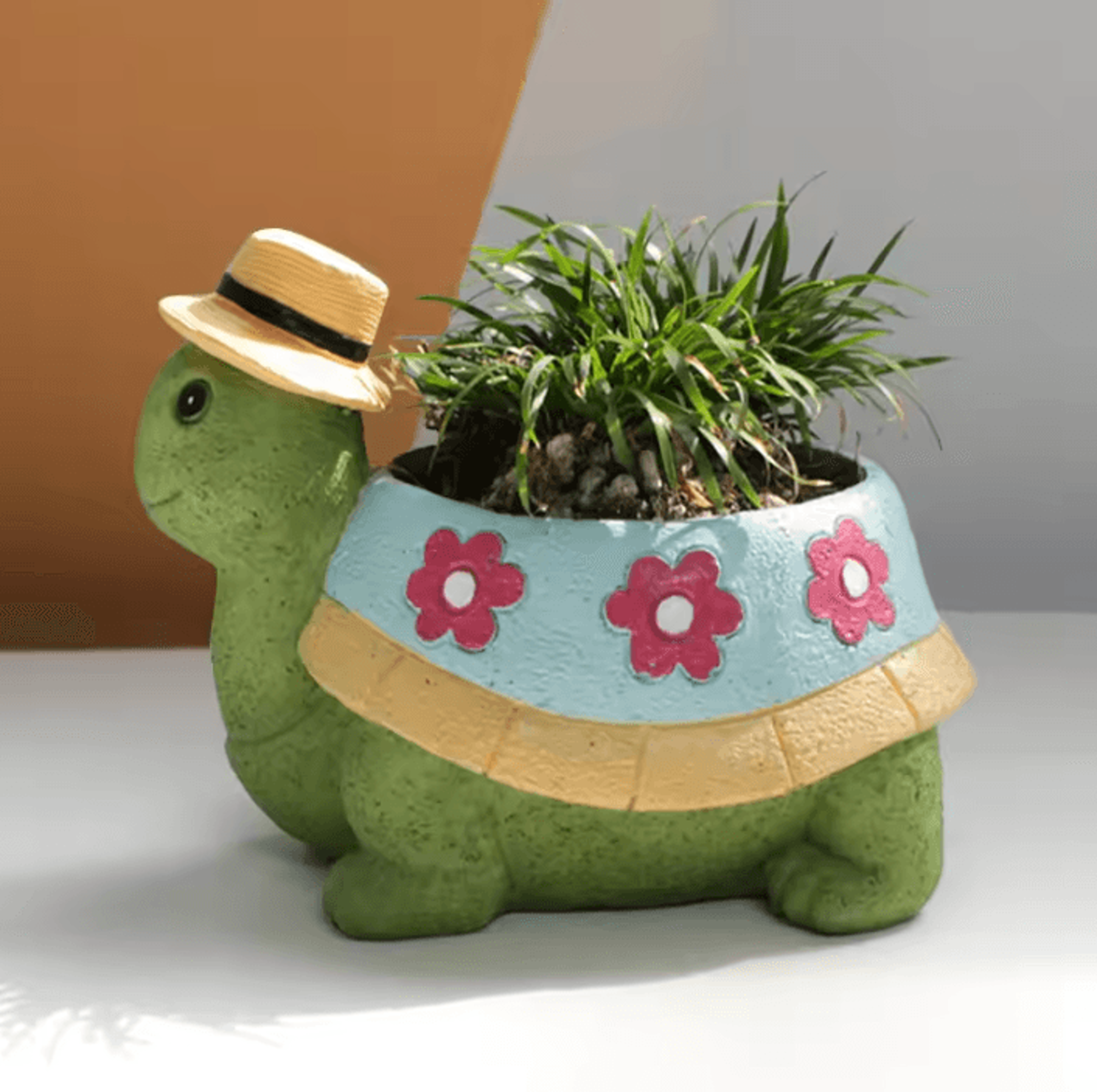 cute turtle succulent planter pot for indoor plants & home decor