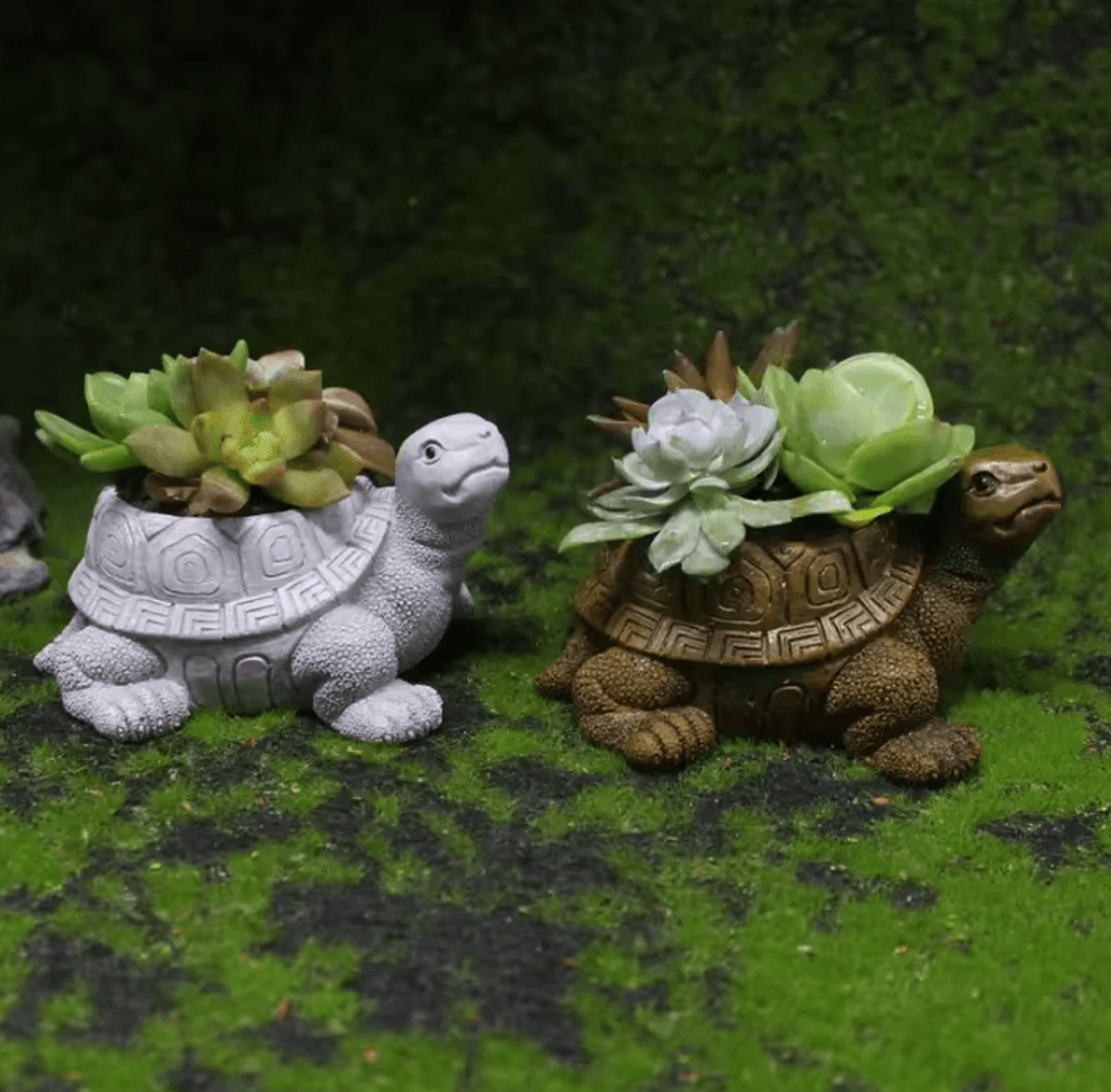 cartoon turtle resin succulent planter for home, office & garden