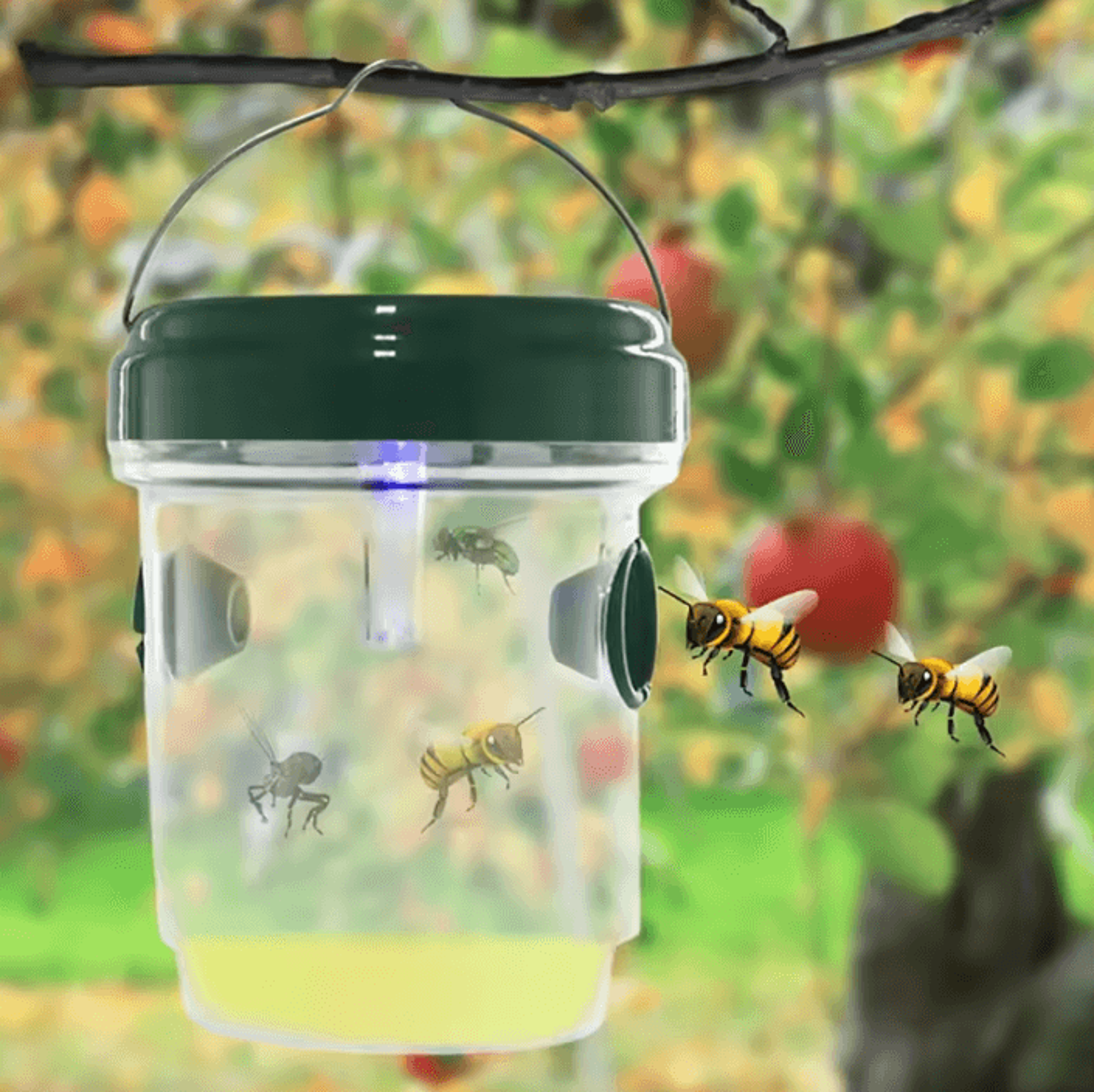 solar led wasp & fruit fly trap – solar insect trap for outdoor garden, orchard & patio pest control