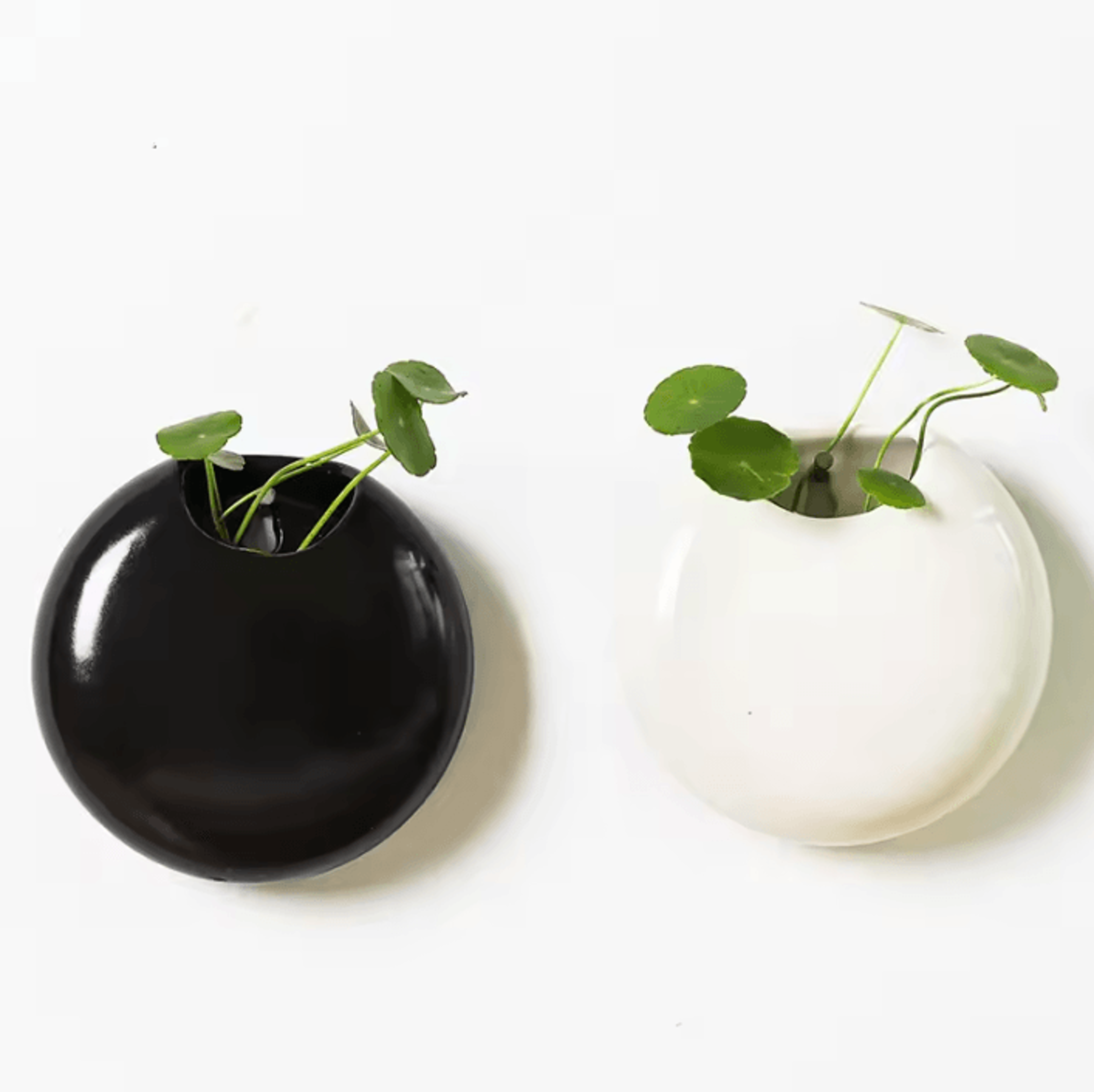 retro black & white wall mounted ceramic planter – modern succulent pot & hydroponic flower vase