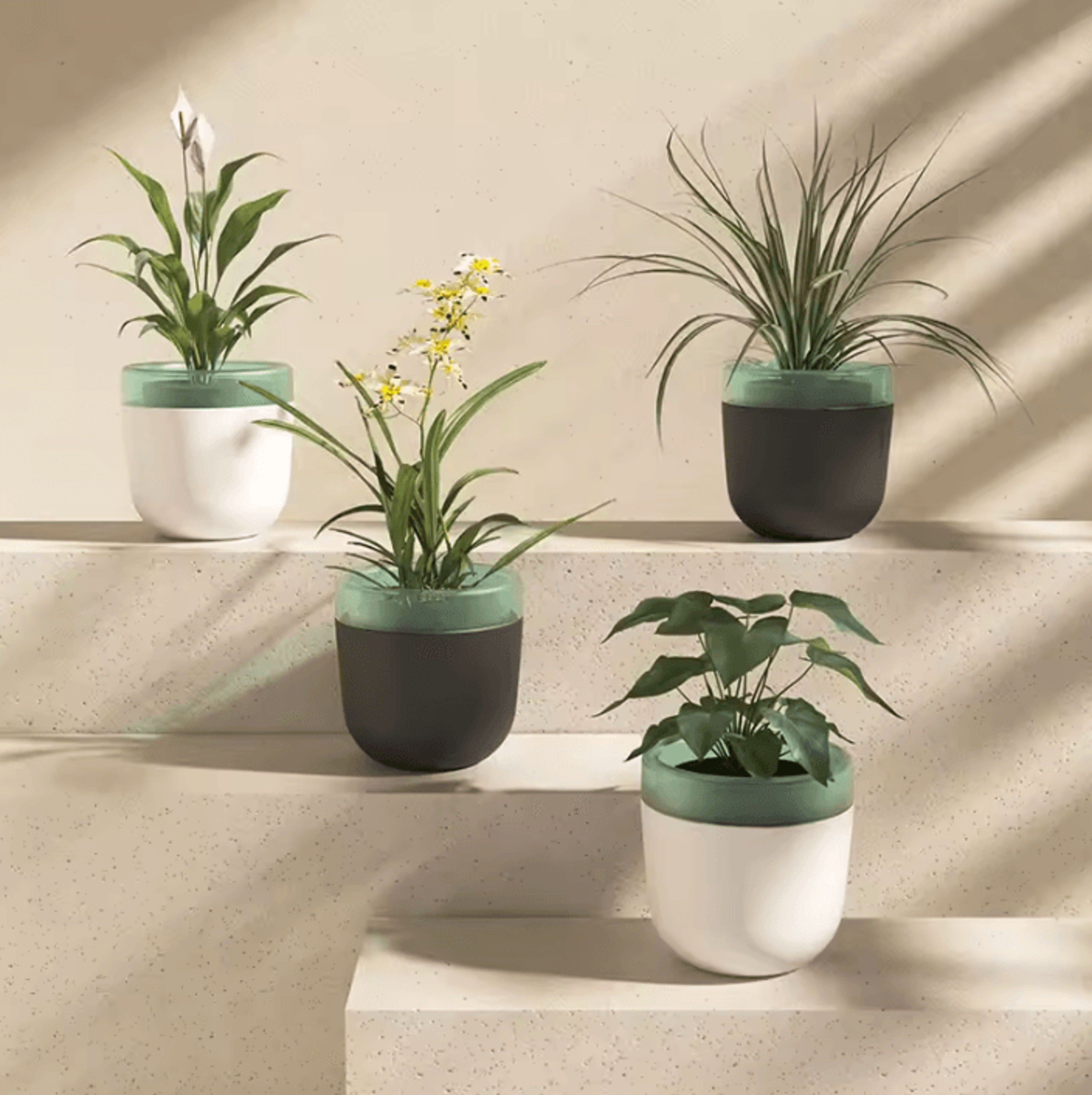 self watering plant pot – automatic flower planter with water reservoir for indoor & office plants