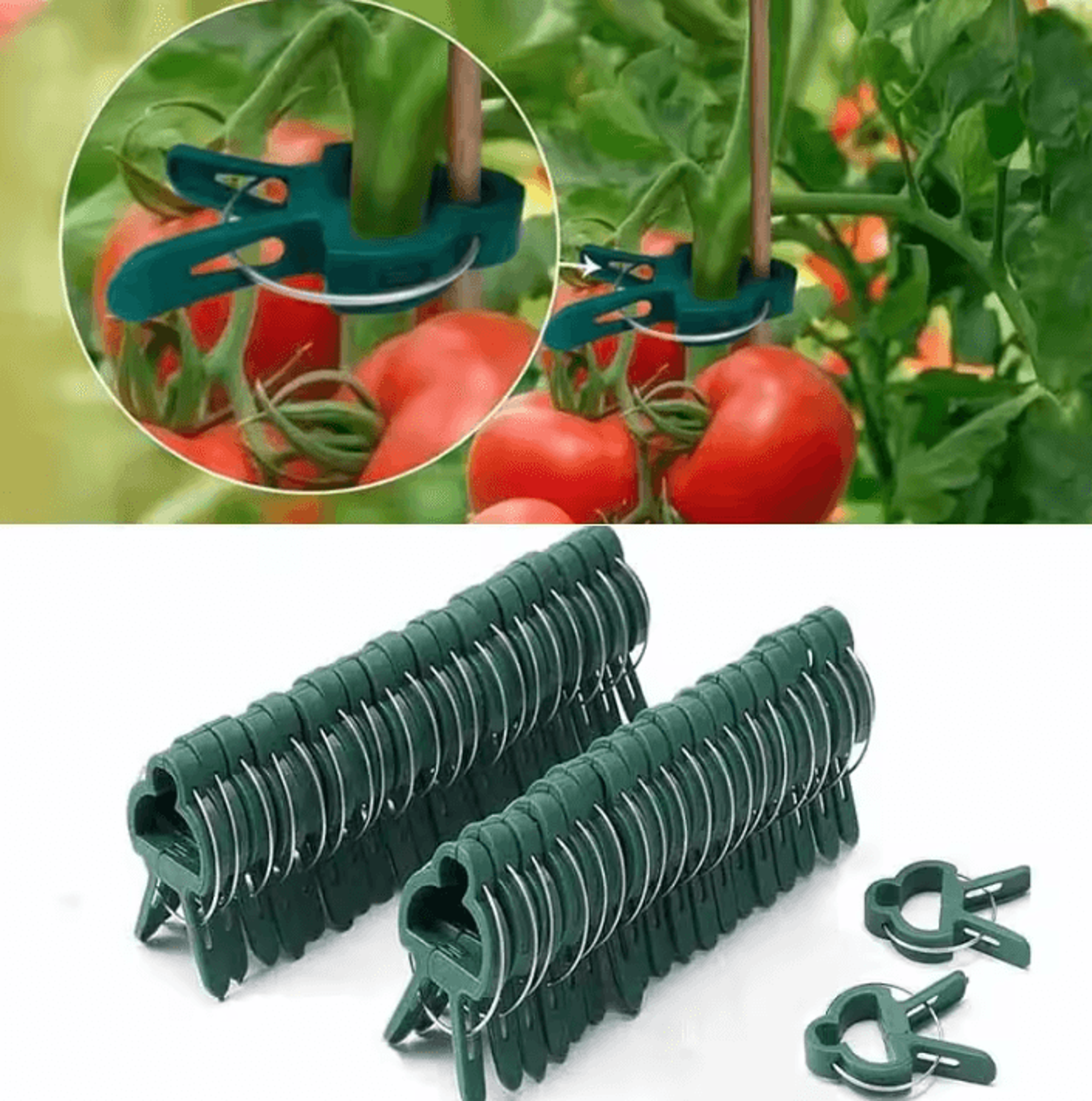reusable plant support clips – garden stem fasteners for tomatoes, vines, flowers & seedlings