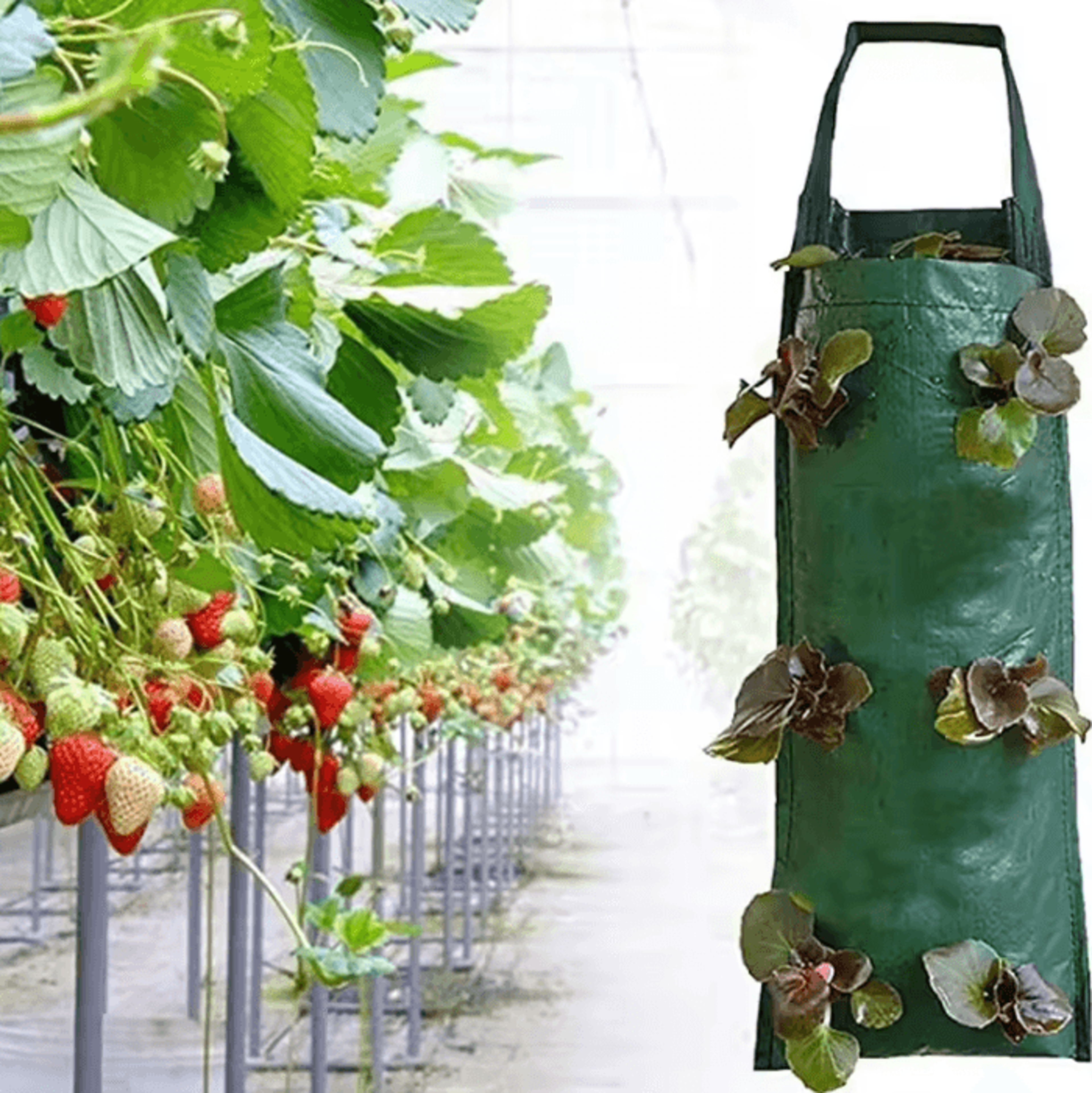hanging strawberry grow bag for vegetables, flowers, and upside down planters
