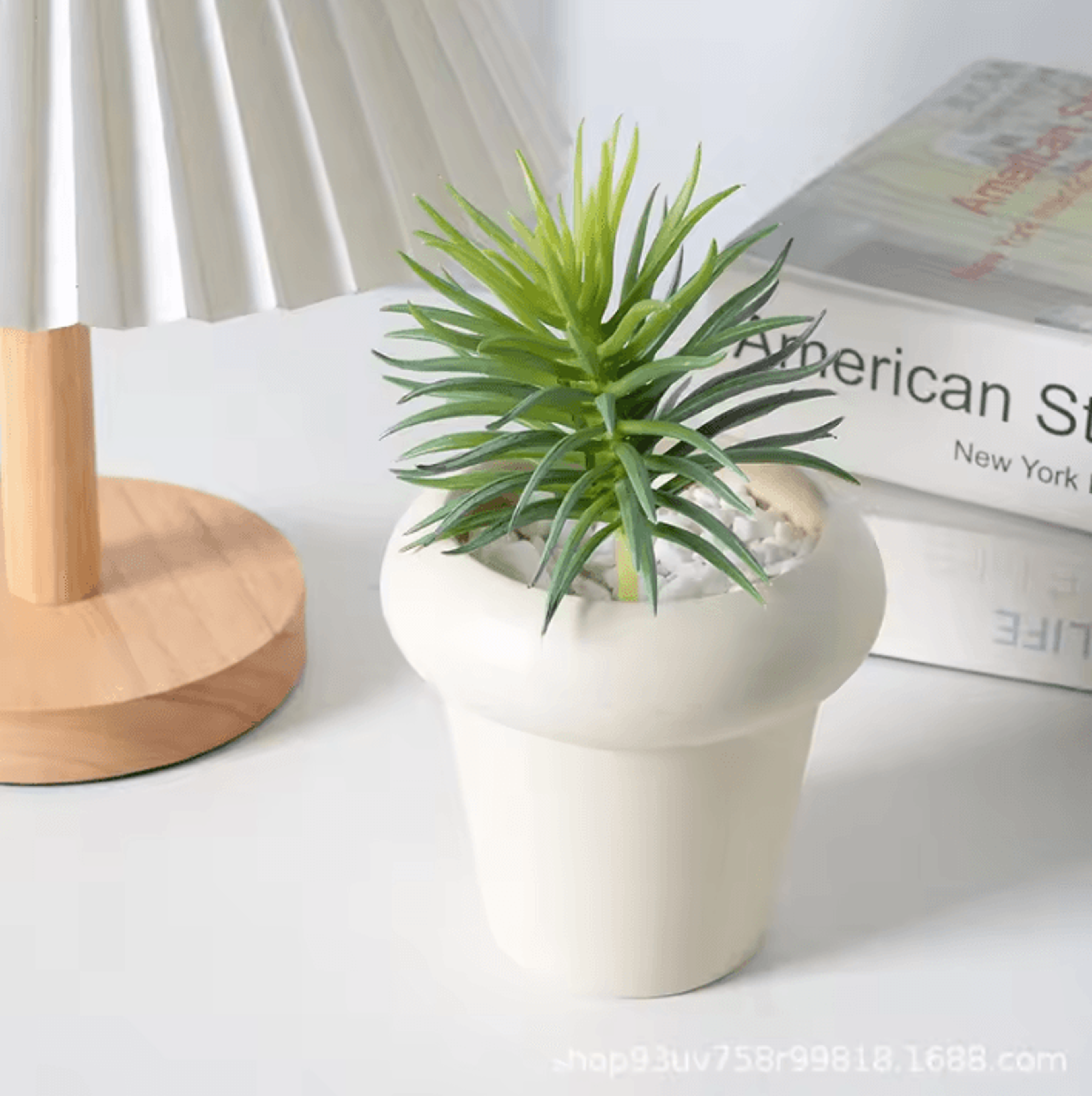 elegant ceramic flower pot for indoor plants and succulents