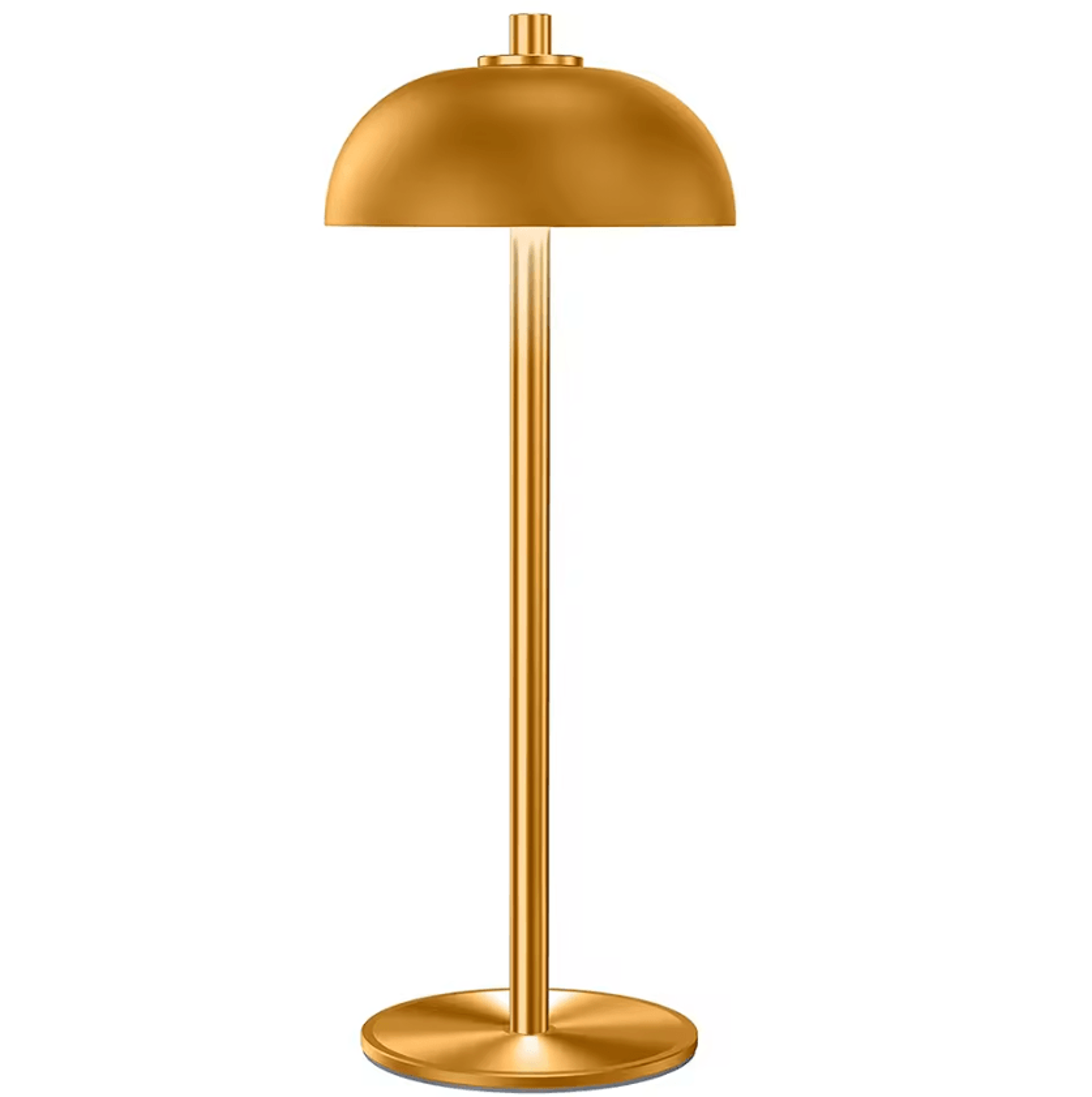 rechargeable mushroom table lamp usb-c wireless touch mood light