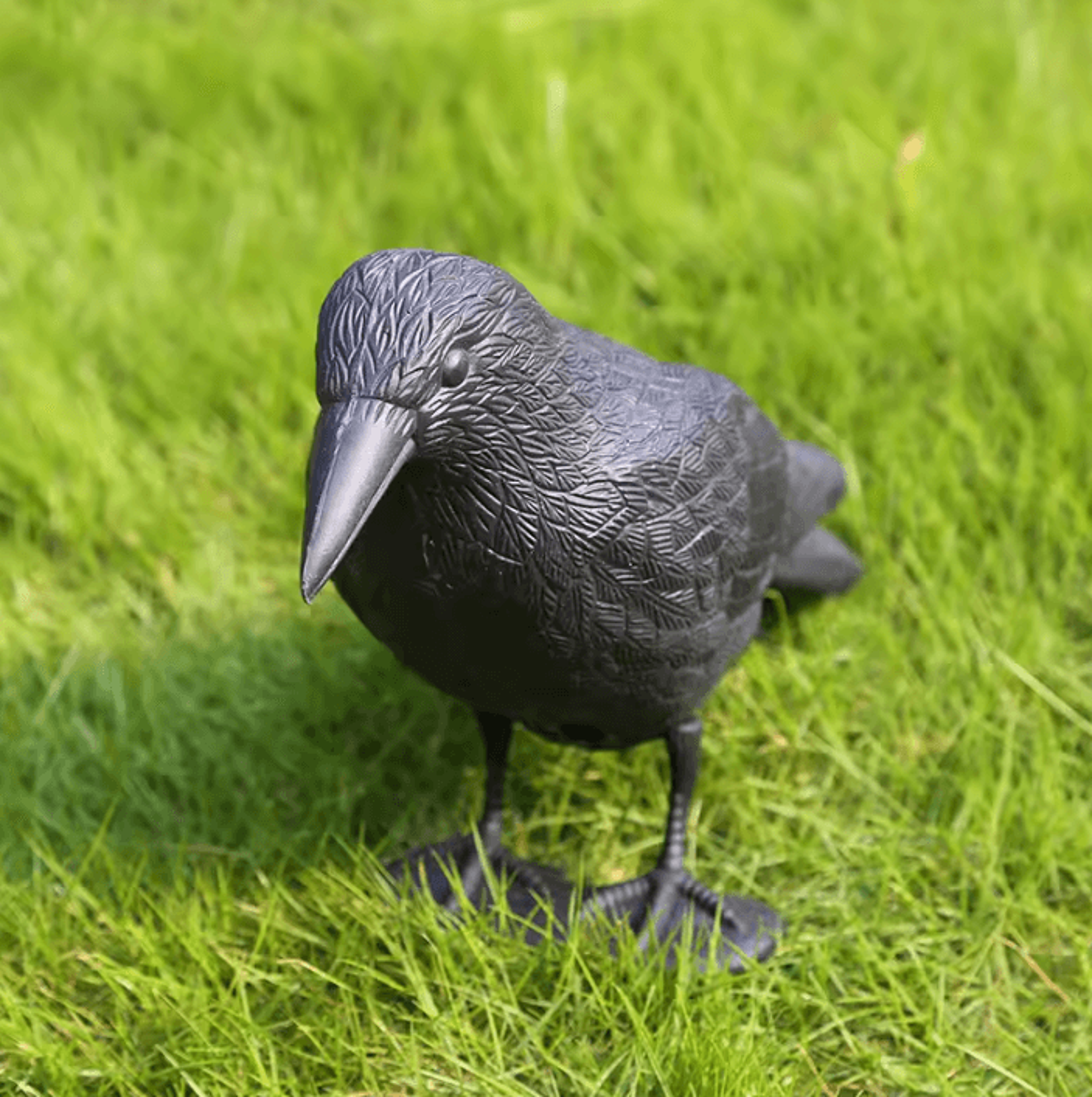 realistic black raven decoy bird halloween decoration and garden repellent