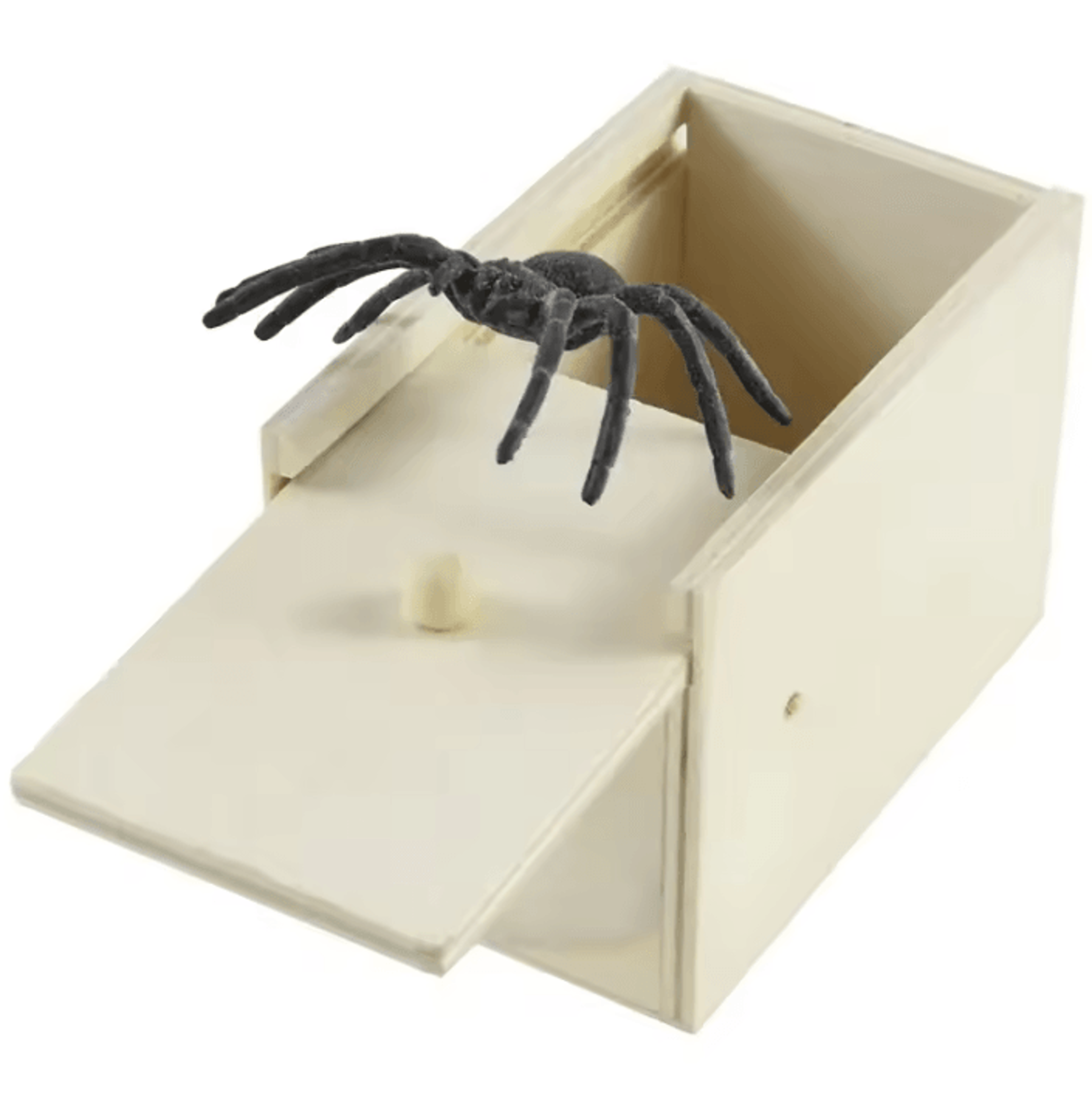 realistic spider prank box halloween surprise toy haunted house prop