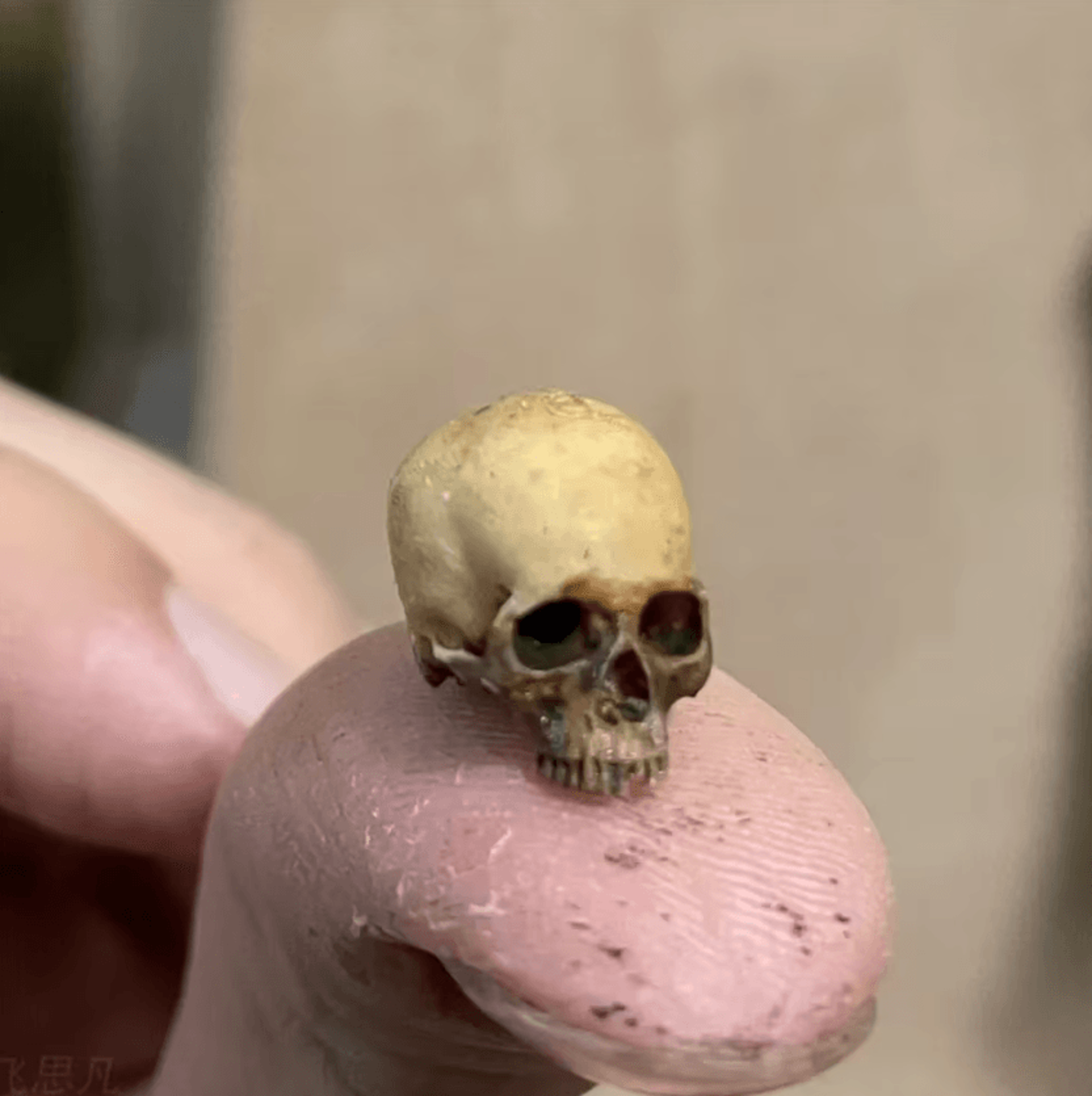 mini skull resin figurine halloween miniature decoration for dollhouse and terrarium