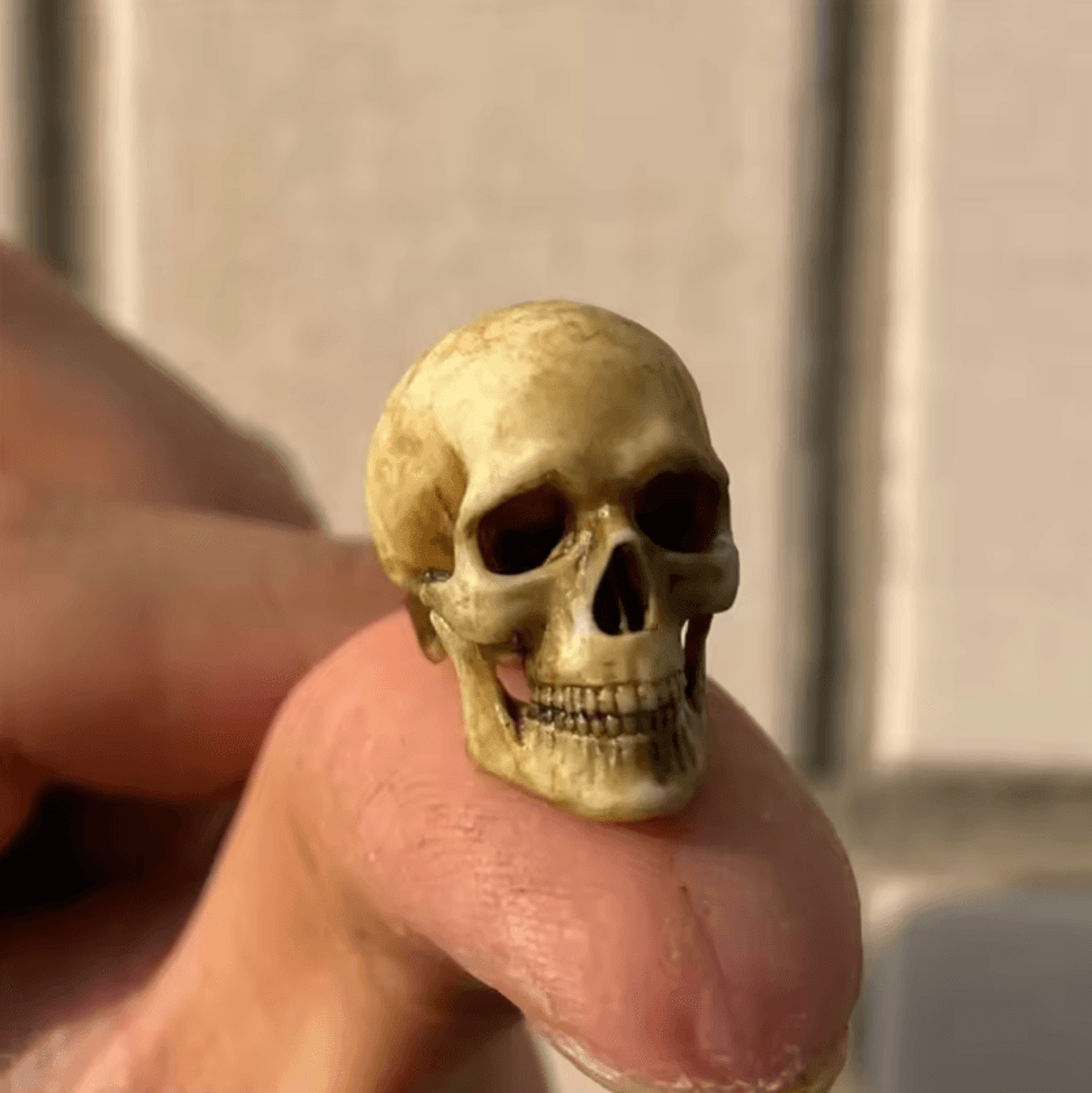 1 12 mini skeleton skull model – miniature skeleton skull for dollhouse, halloween & aquarium decor