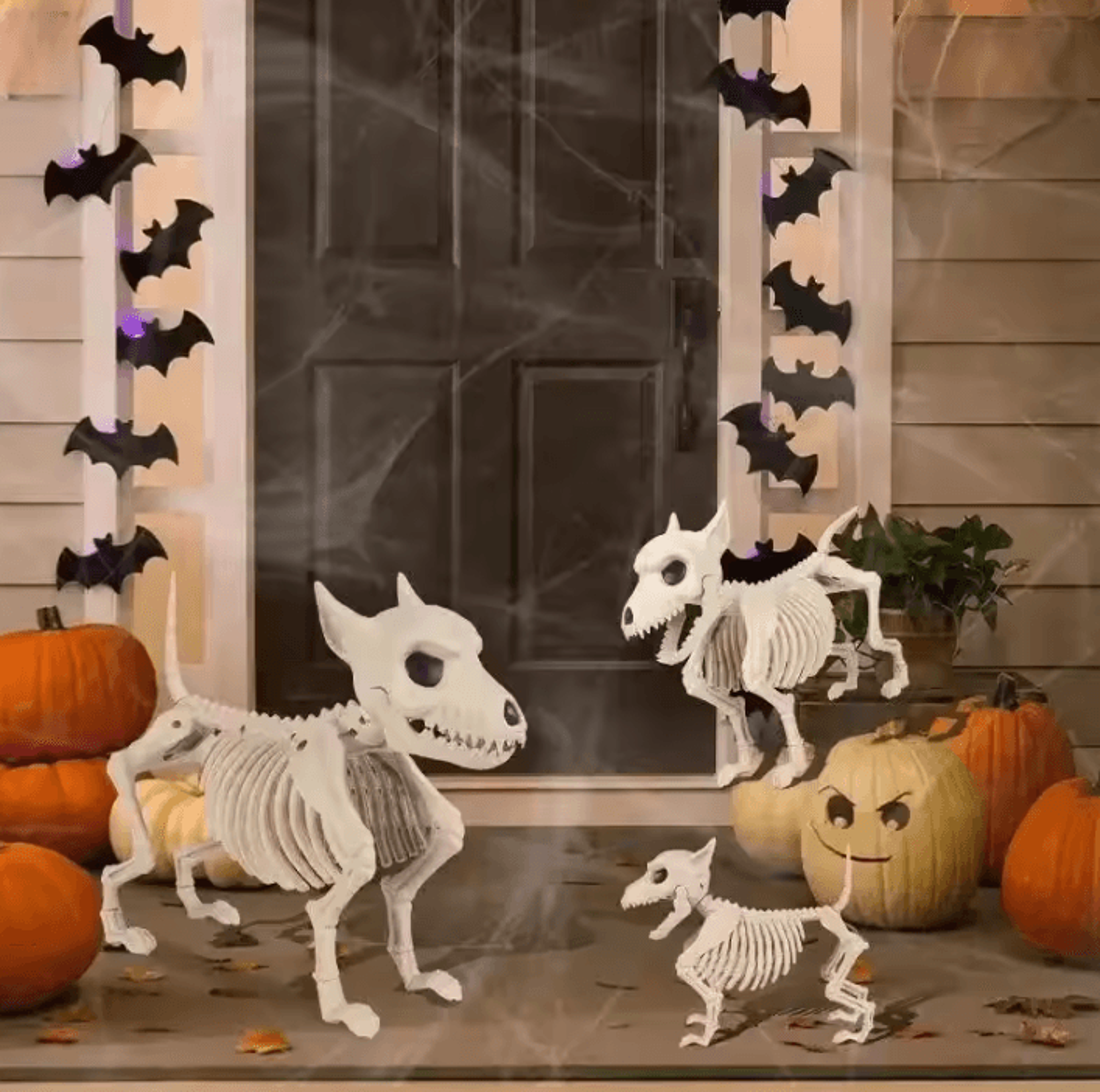 halloween skeleton animal decor – skeleton wolf decoration for indoor, outdoor & garden displays