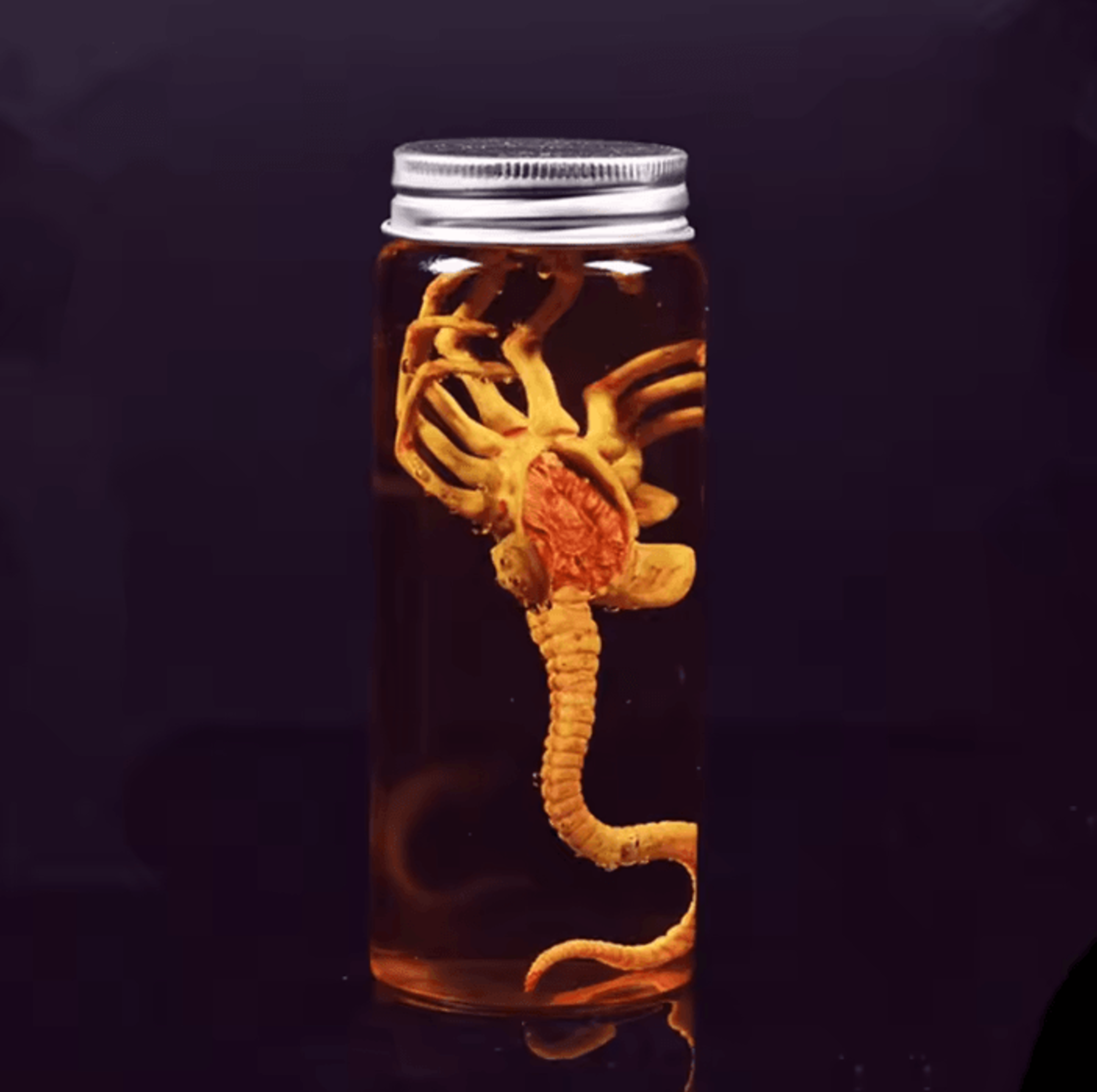 alien xenomorph facehugger specimen jar movie prop replica