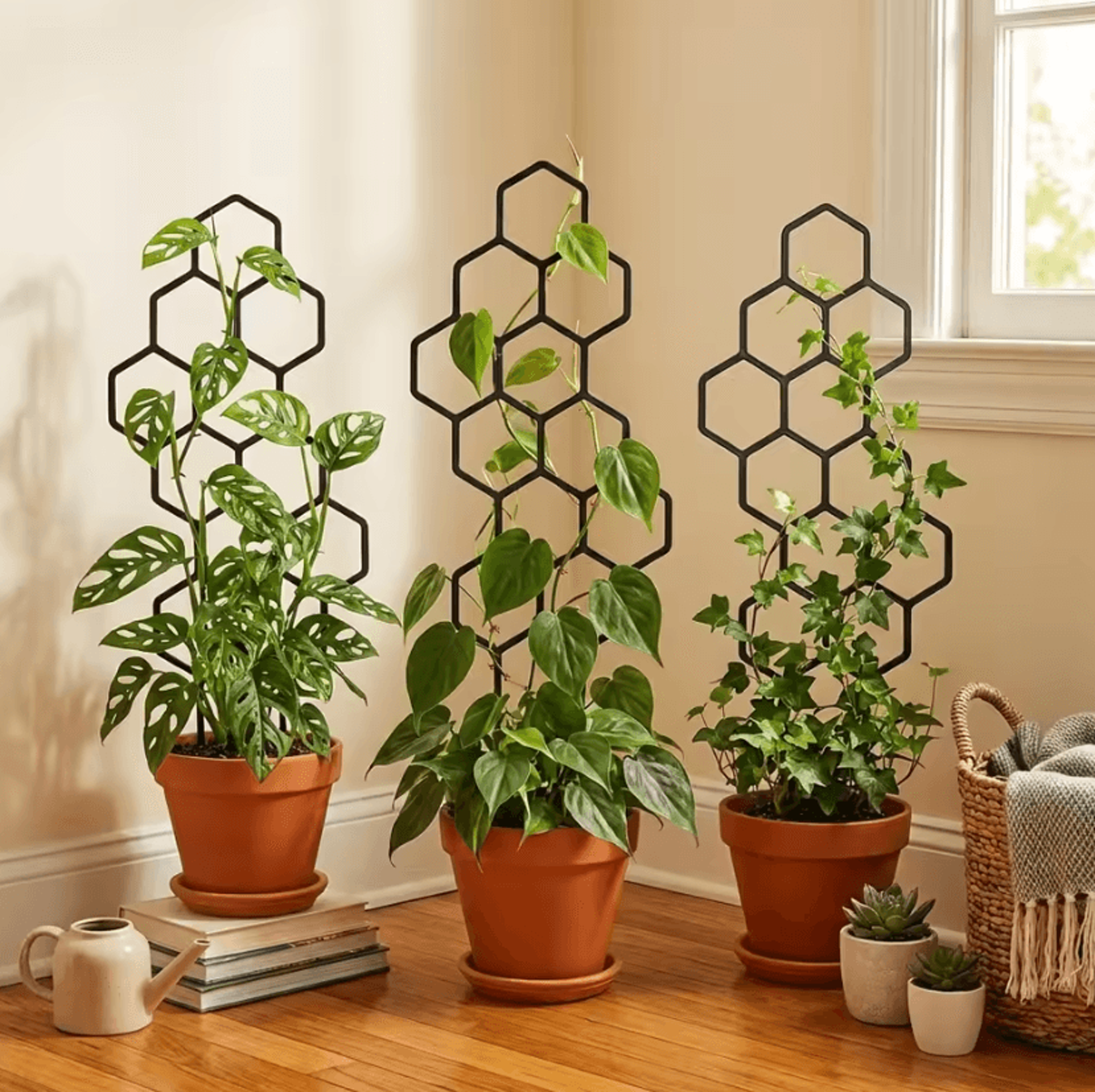 honeycomb plant trellis for potted climbing plants