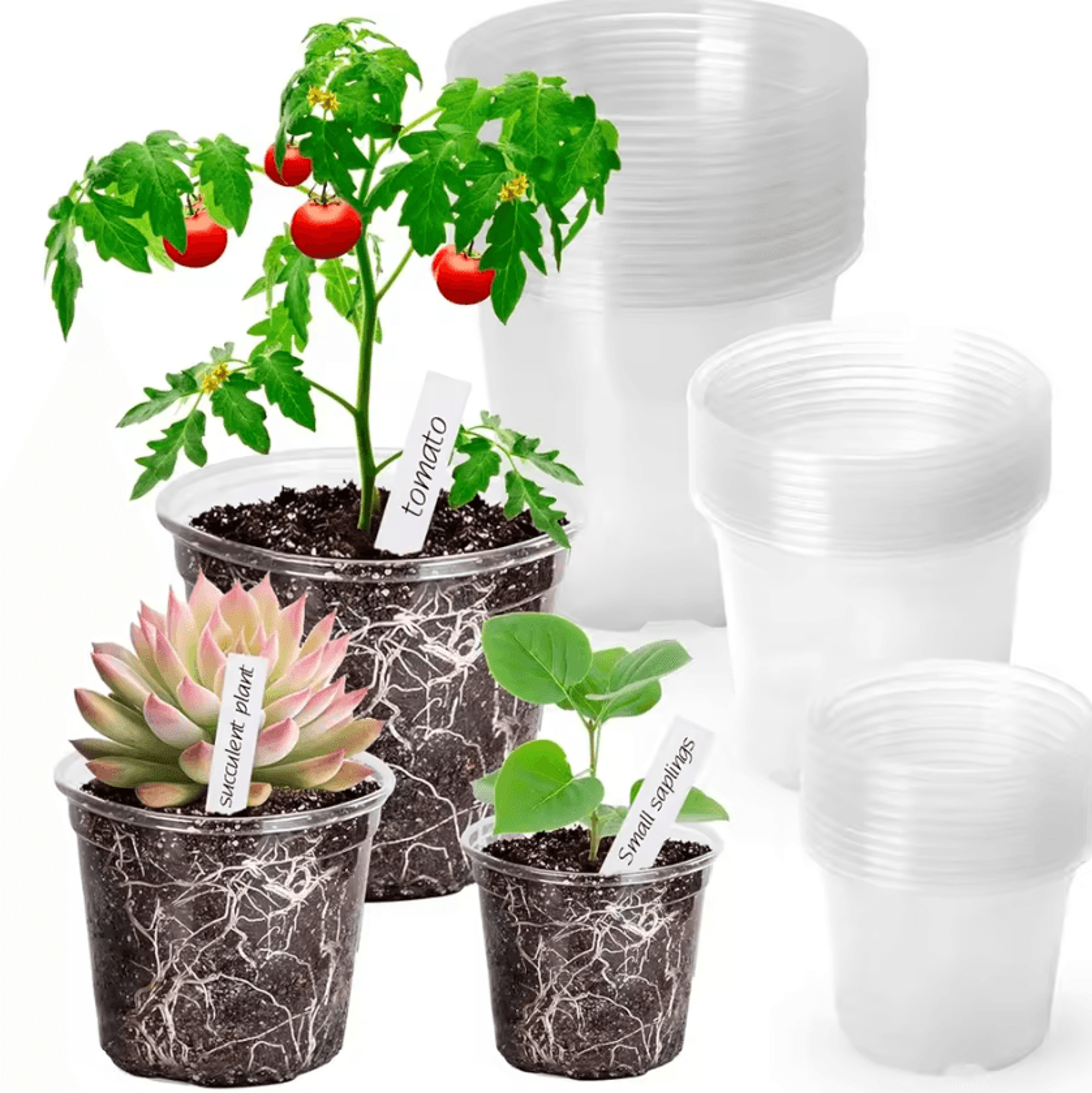 reinforced clear nursery pots with drainage holes