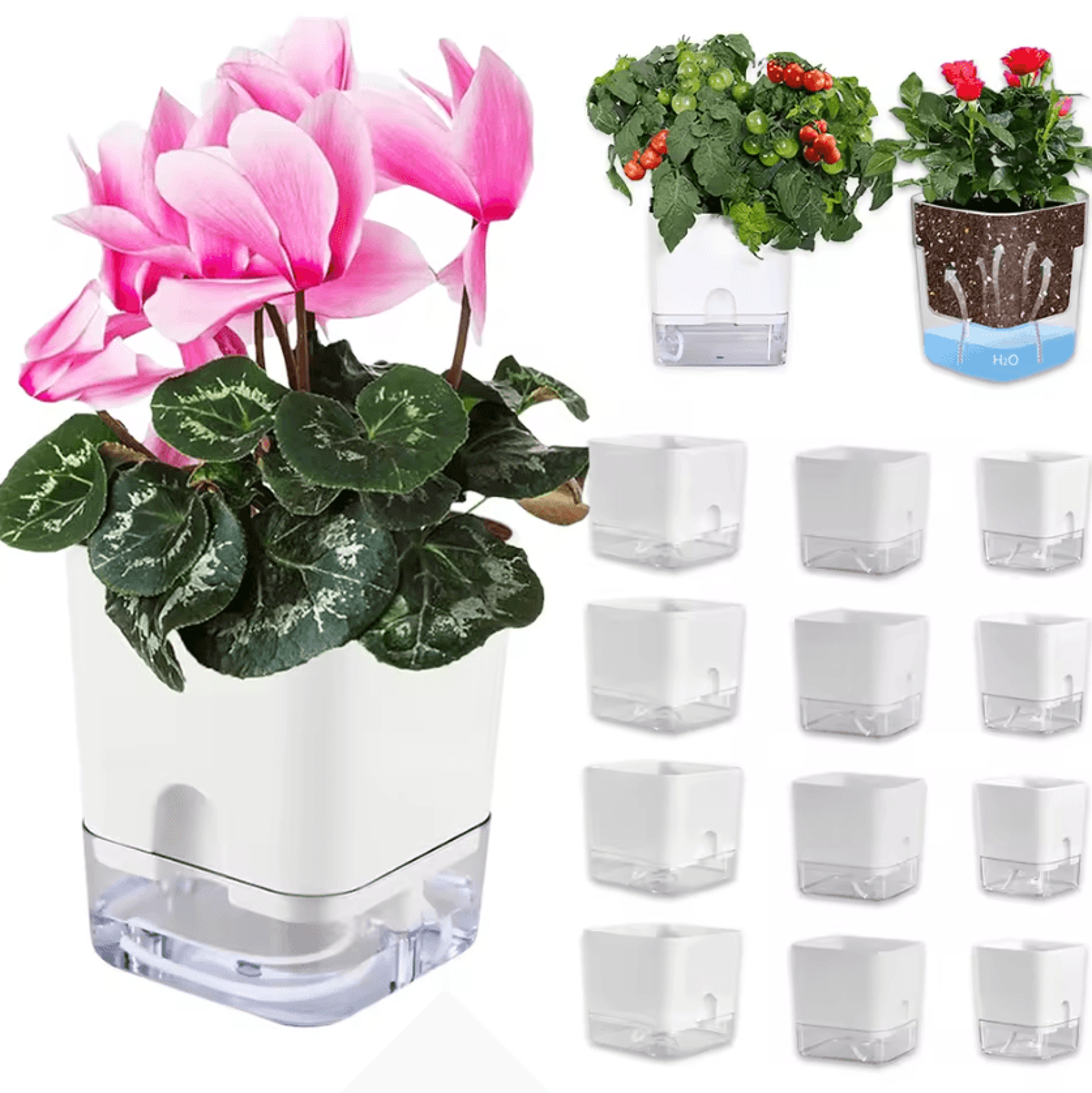 clear self watering planter with wicking system
