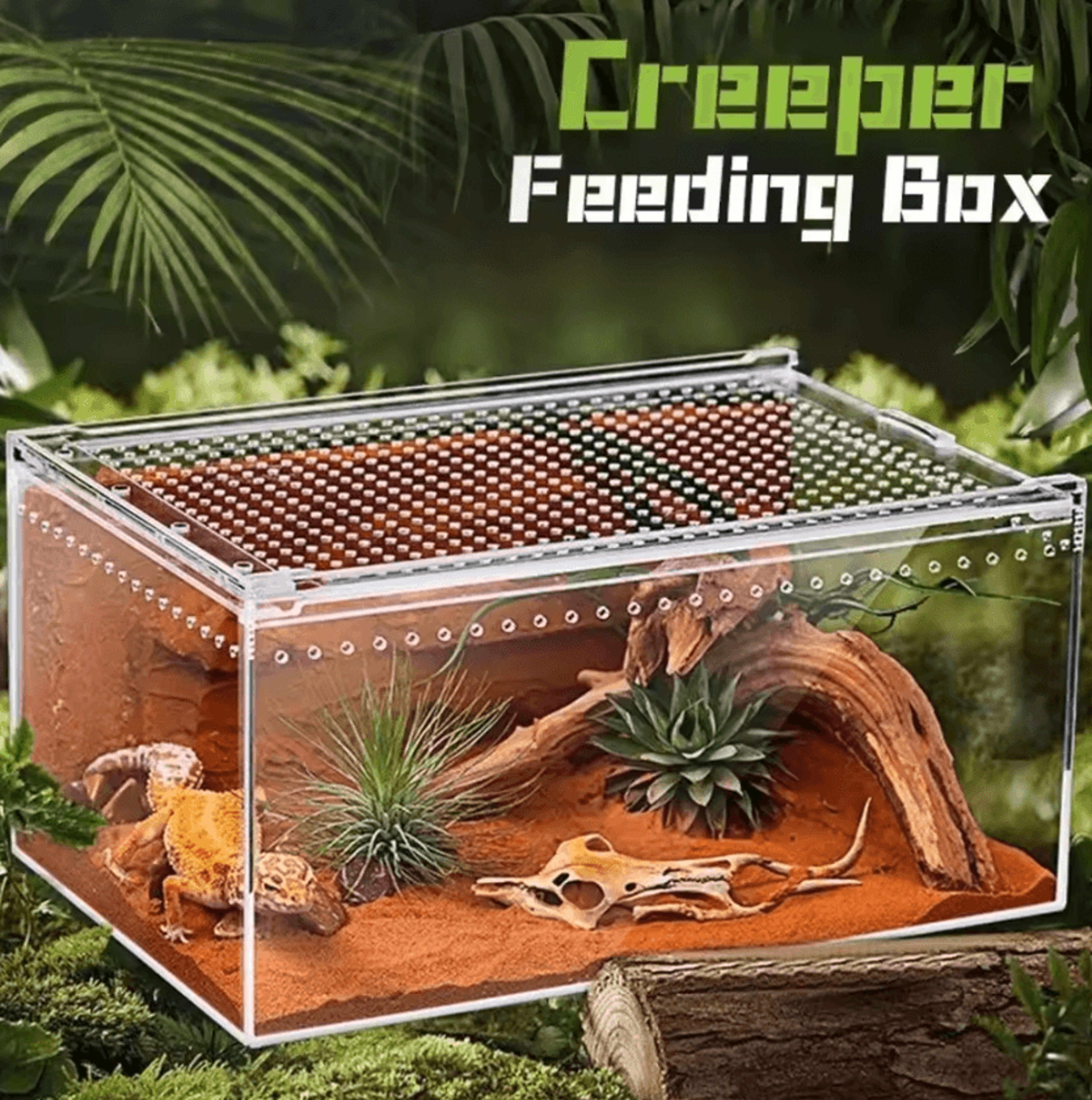 transparent acrylic reptile terrarium habitat