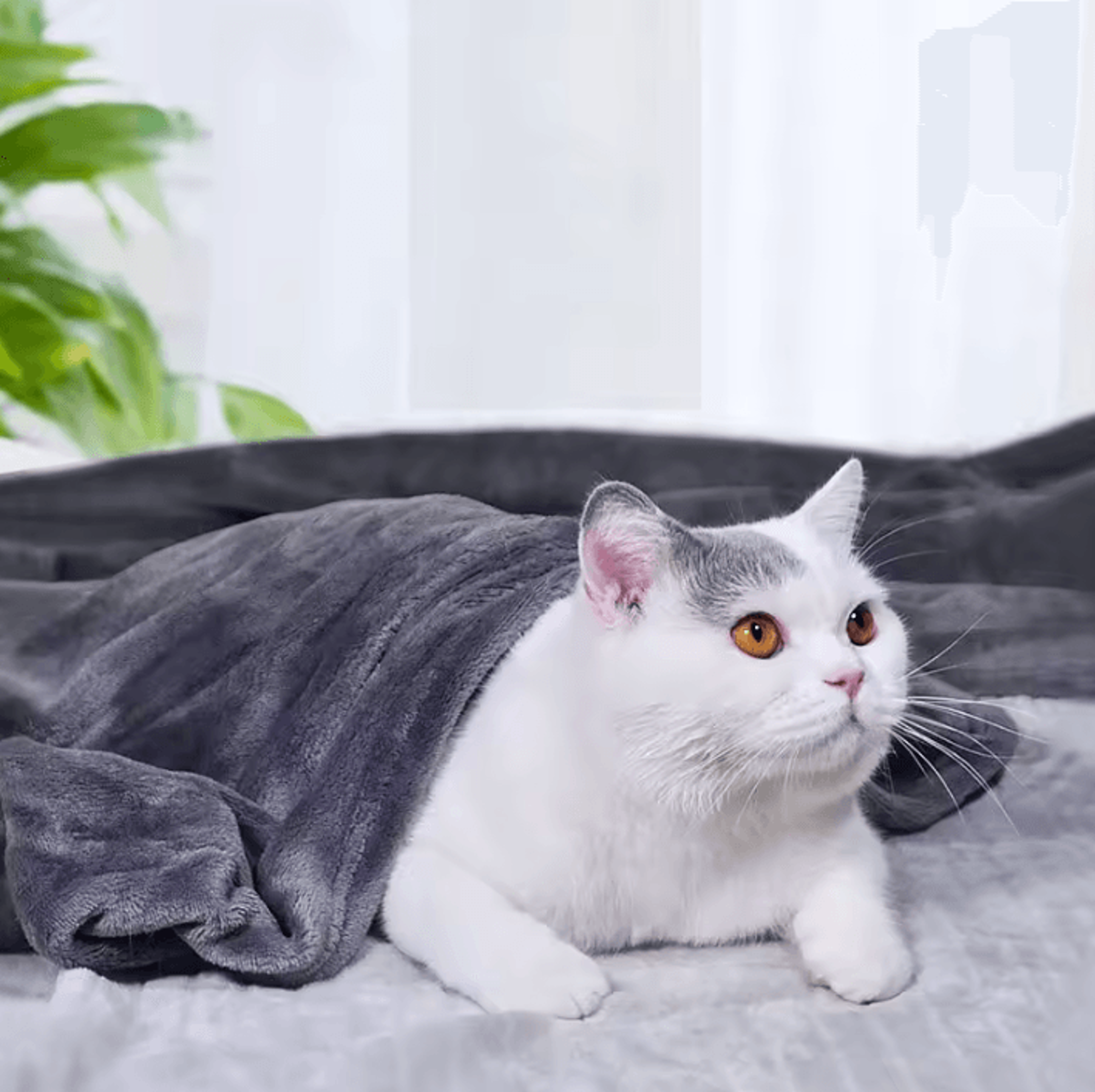 50 x 70cm soft flannel mini blanket