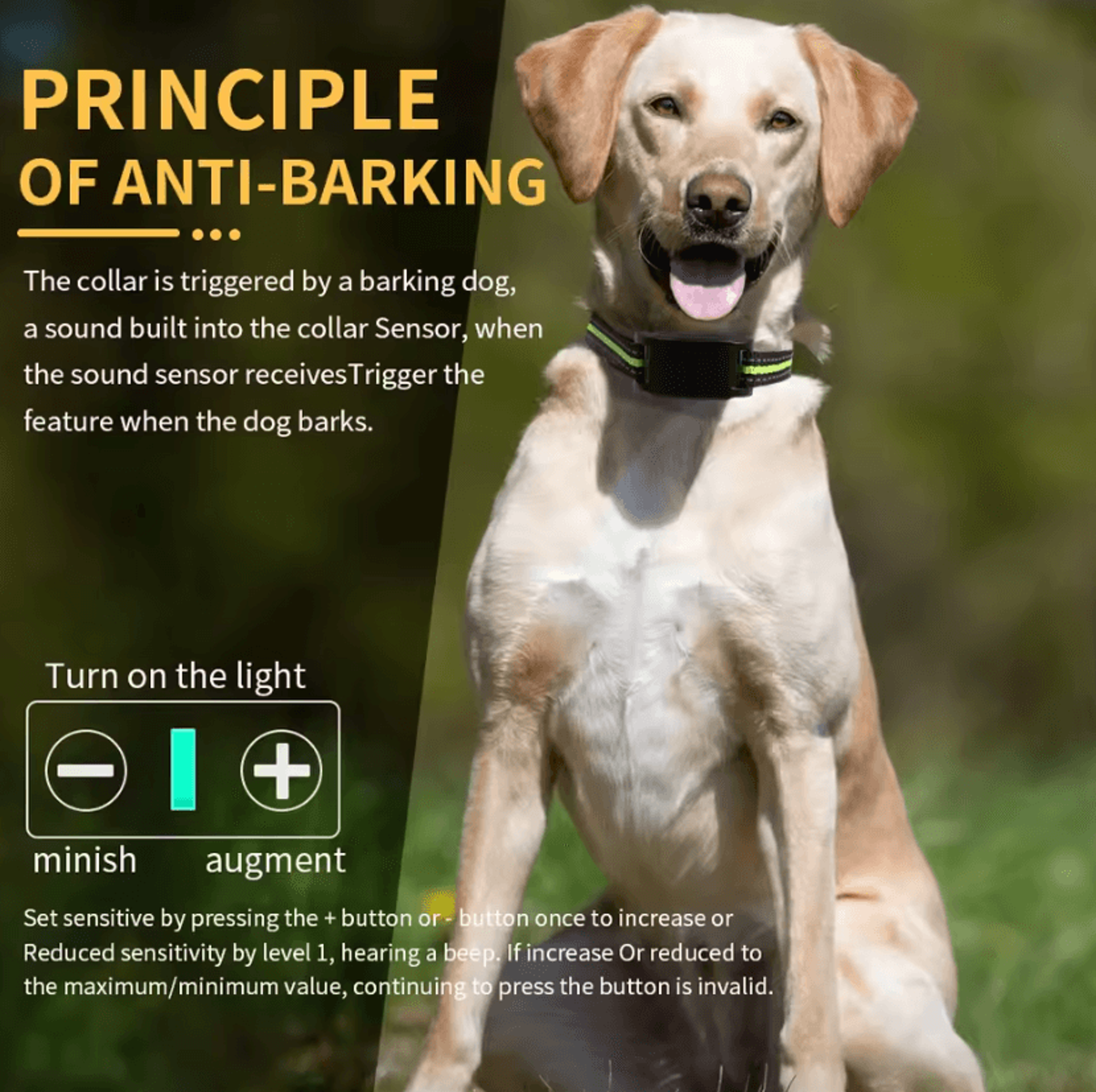 automatic anti-bark dog training collar with 7 sensitivity levels