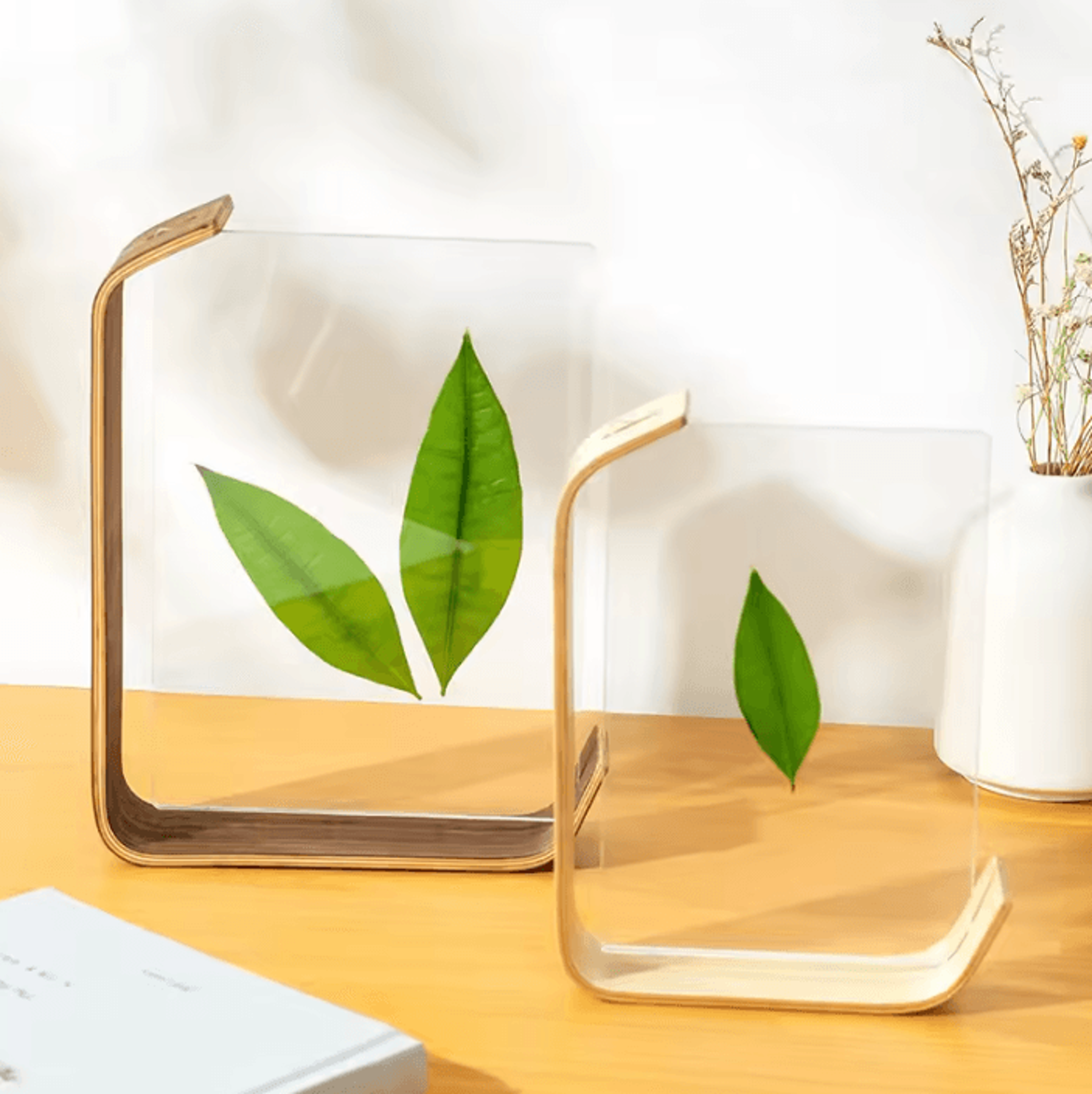 acrylic wooden herbarium photo display frame for diy decor
