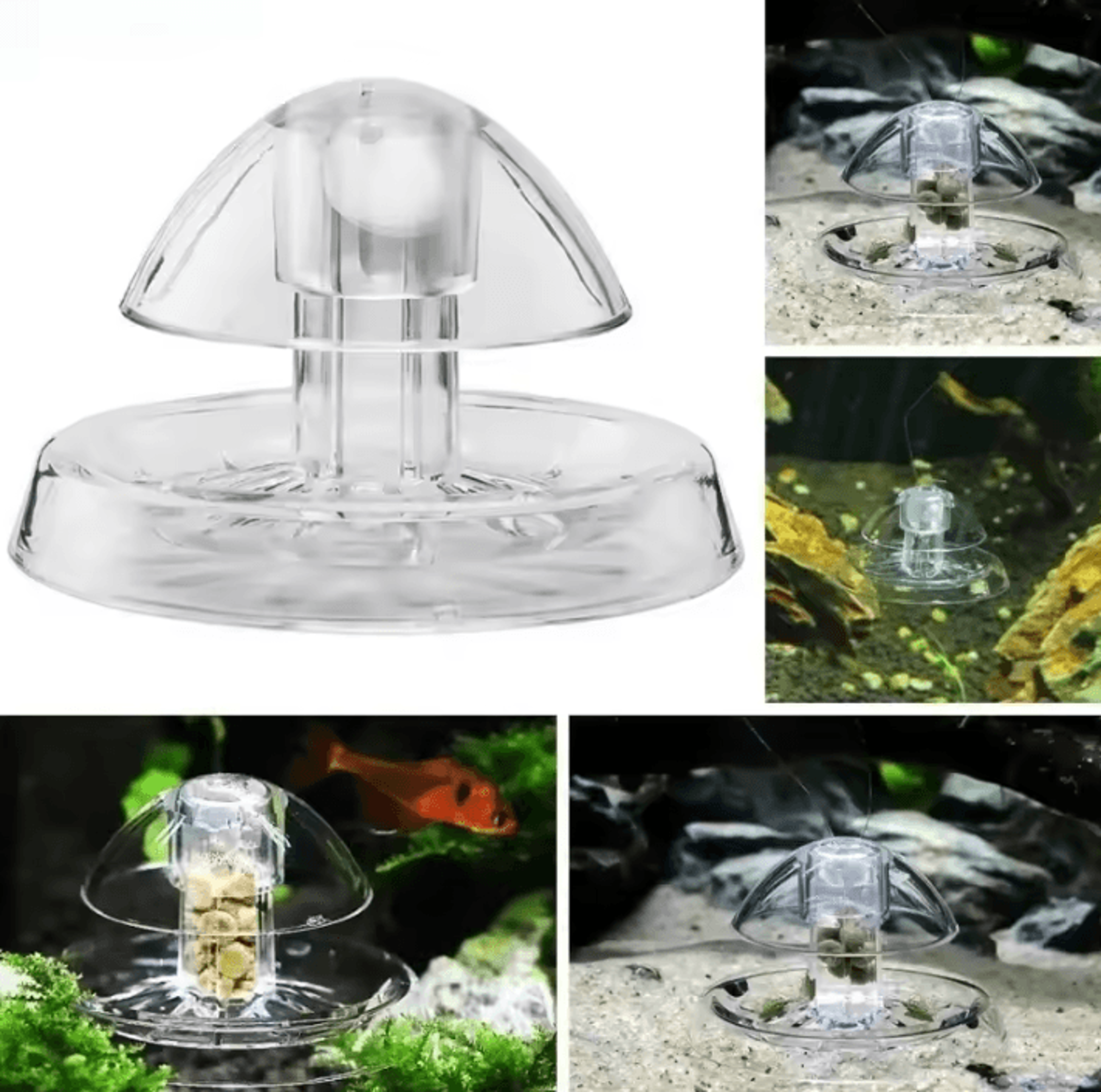 transparent aquarium snail trap planaria and leech catcher