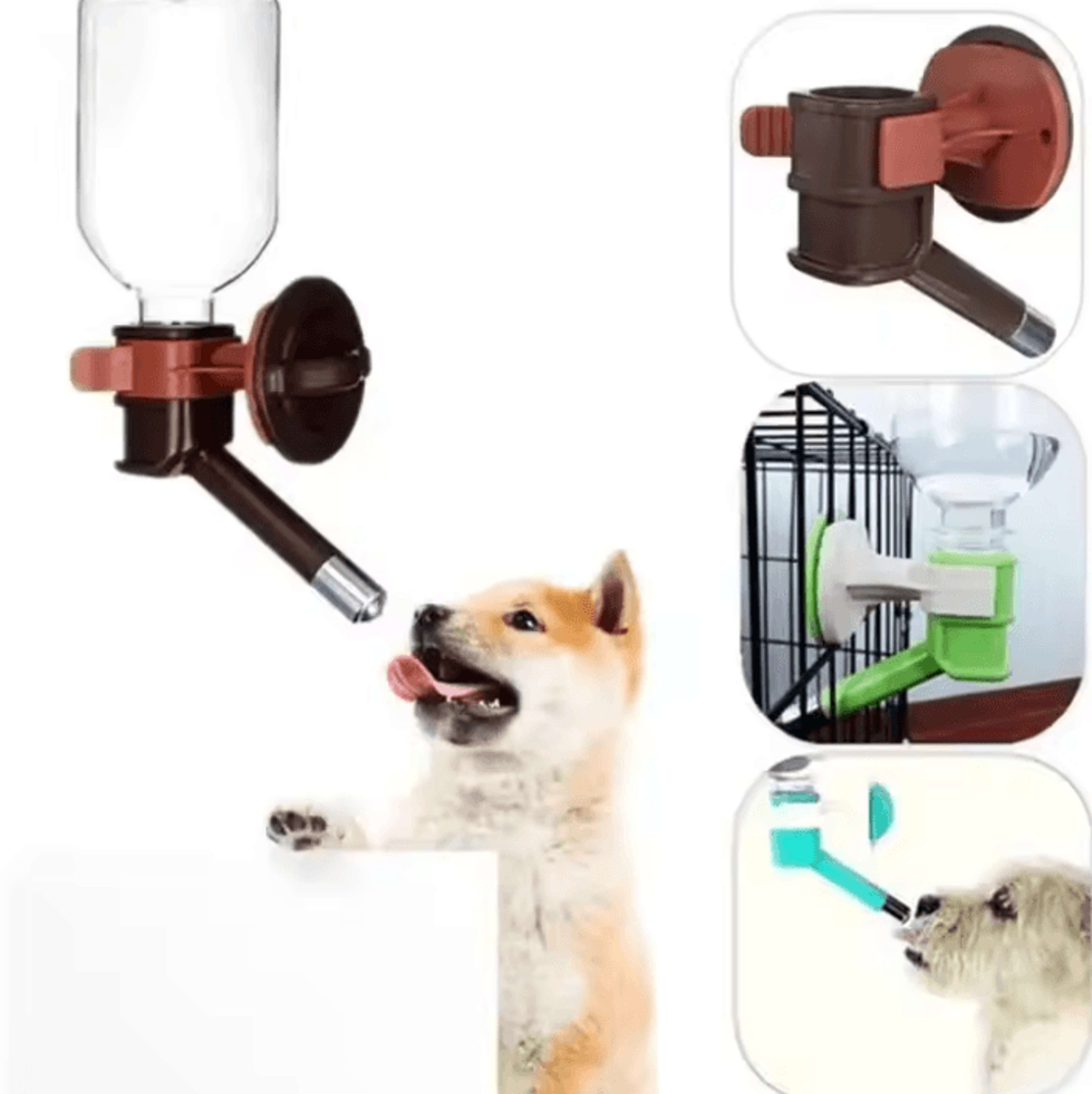 hanging pet water dispenser for cats and dogs