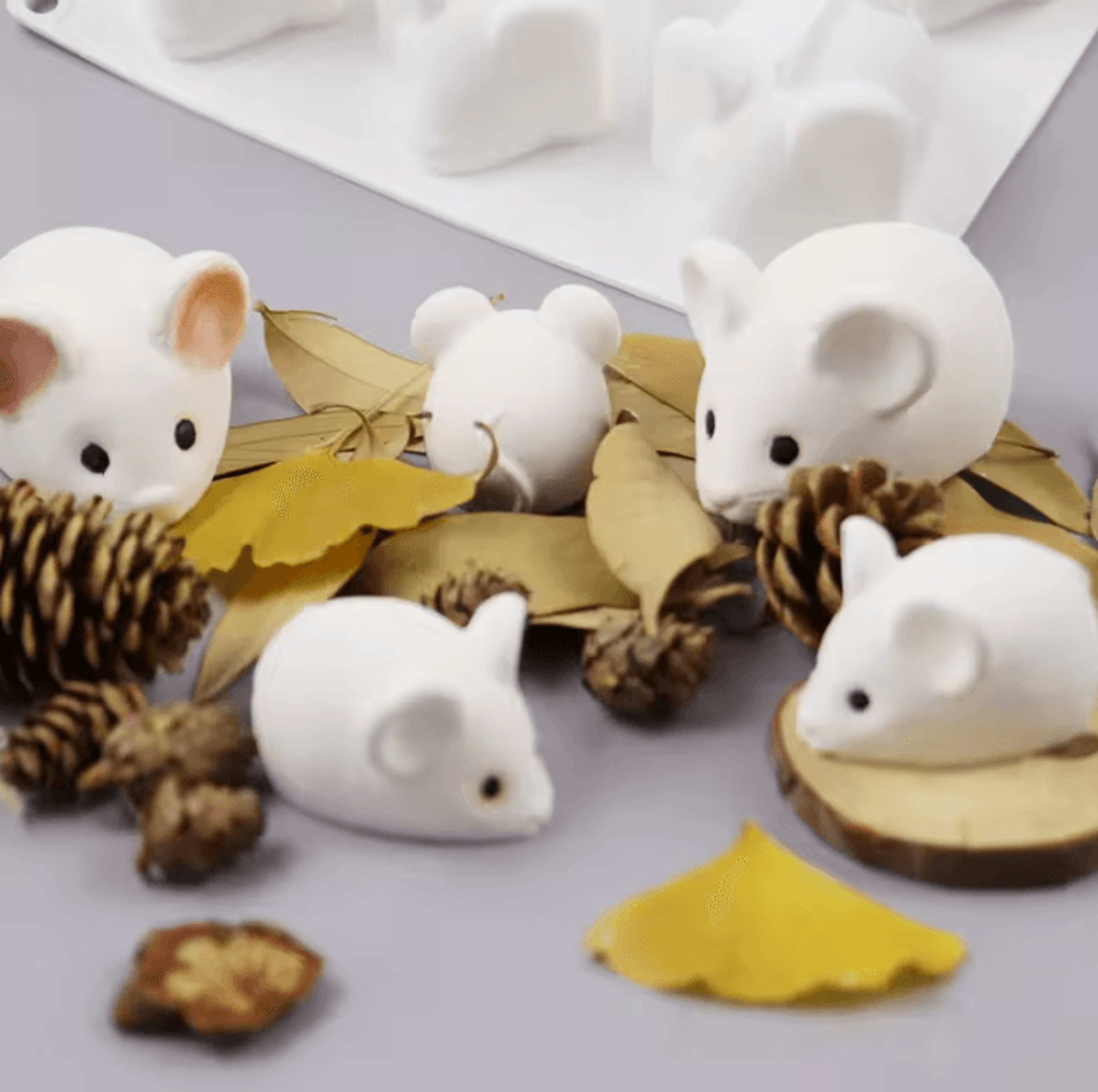 6 cavity mouse silicone mousse and chocolate mold