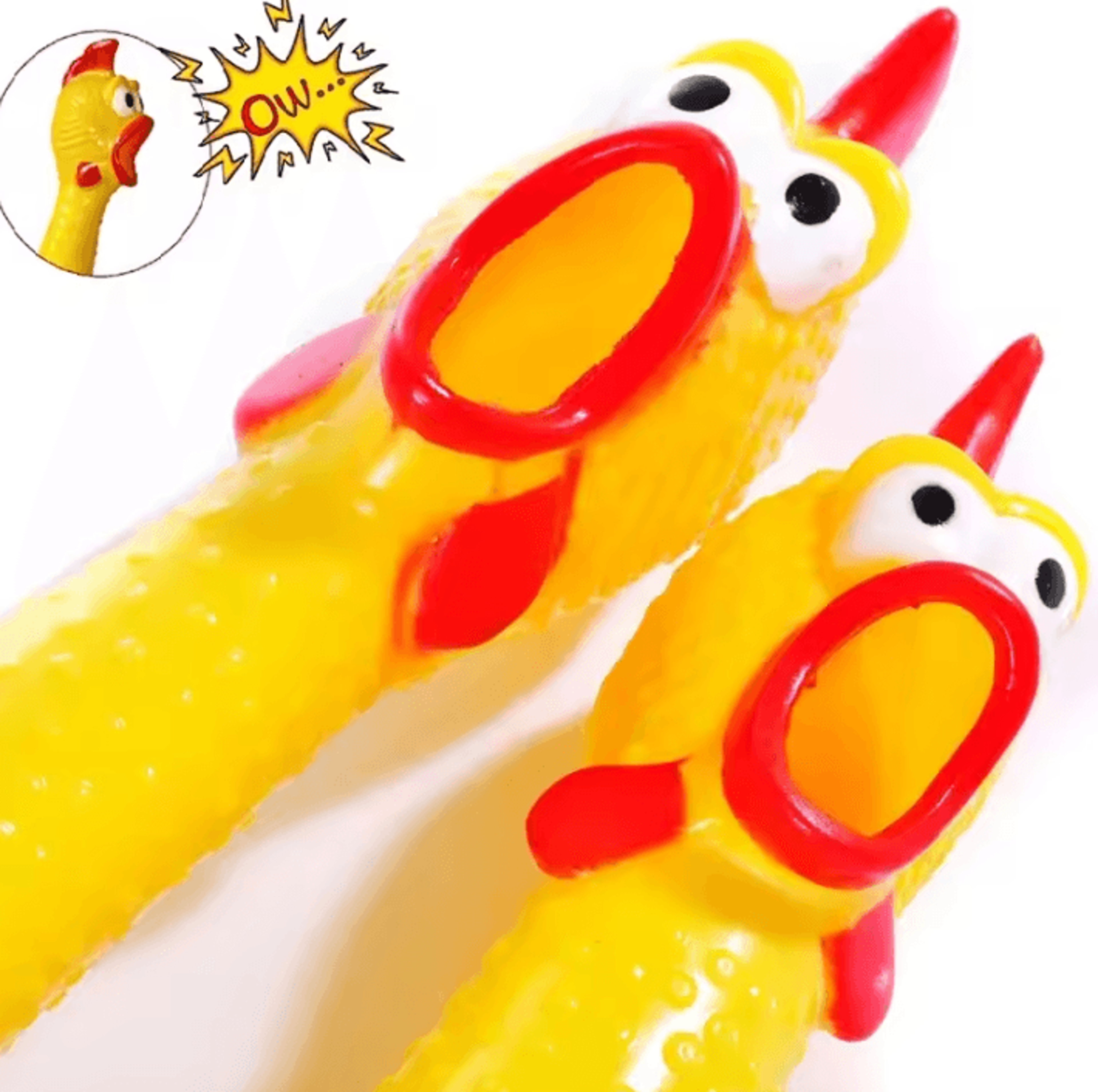 screaming rubber chicken squeaky dog chew toy