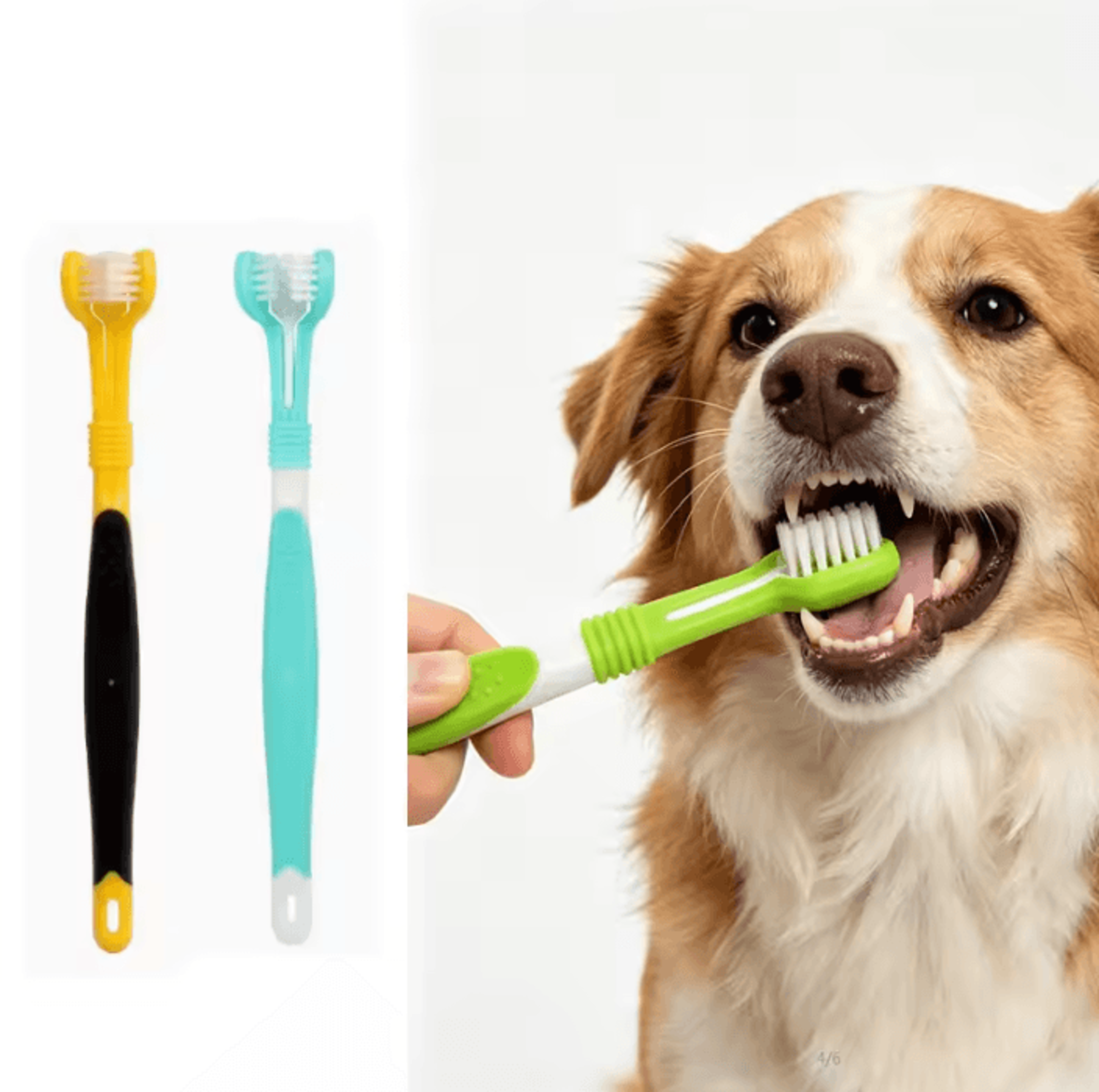 3-sided pet dental toothbrush for dogs and cats
