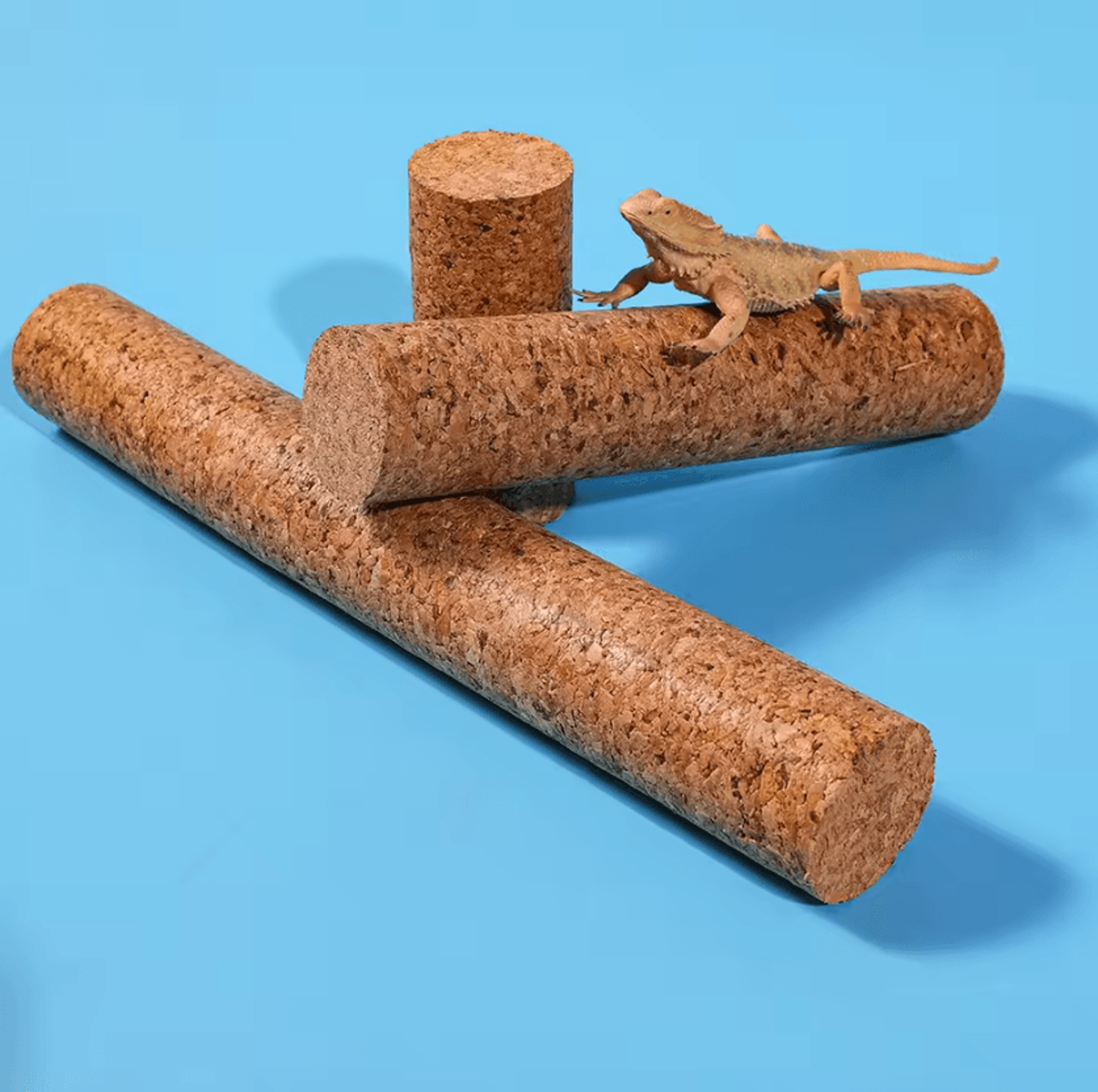 natural cork reptile climbing pole