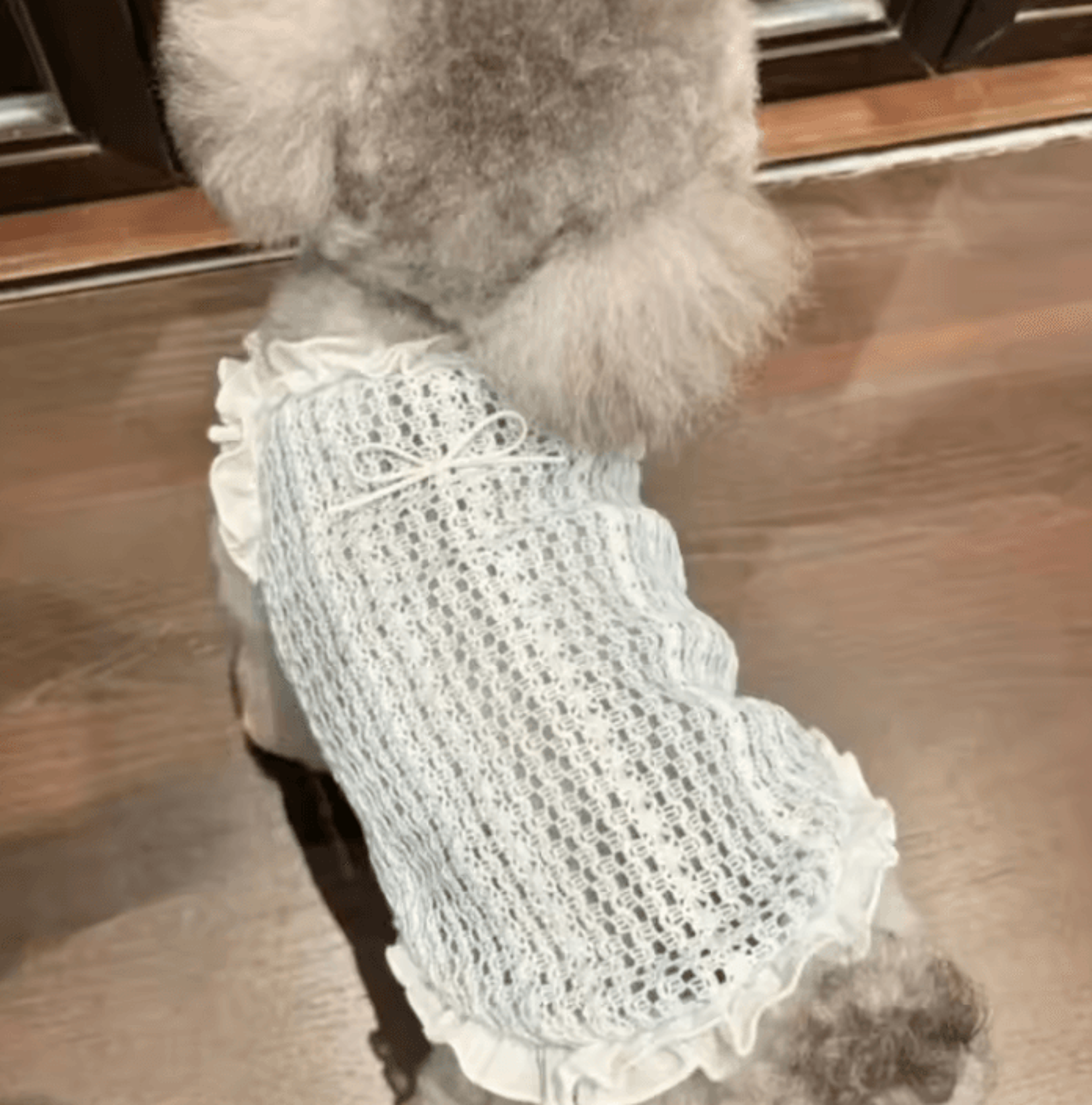 breathable mesh summer vest for small dogs and cats